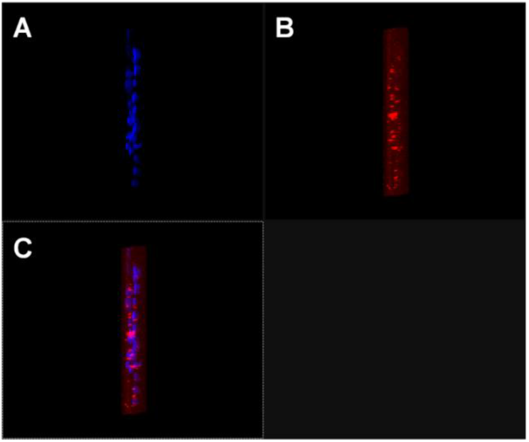 Nanomaterials 06 00092 g006