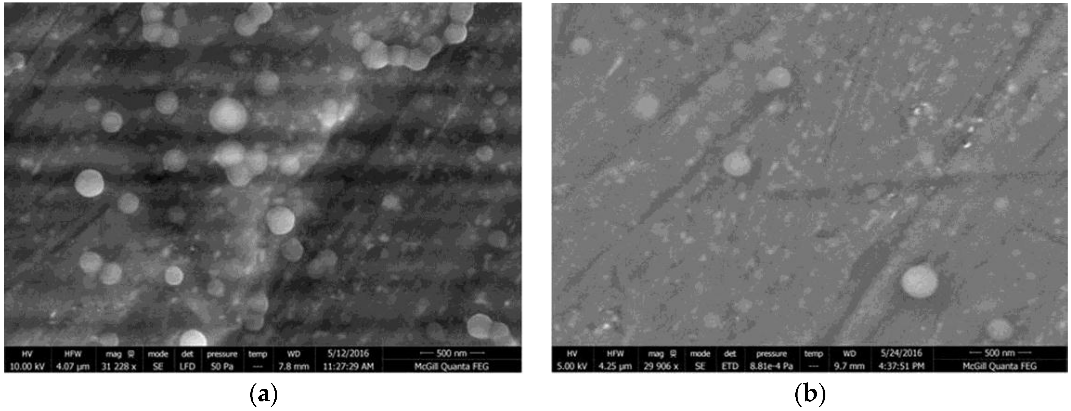 Nanomaterials 06 00116 g007