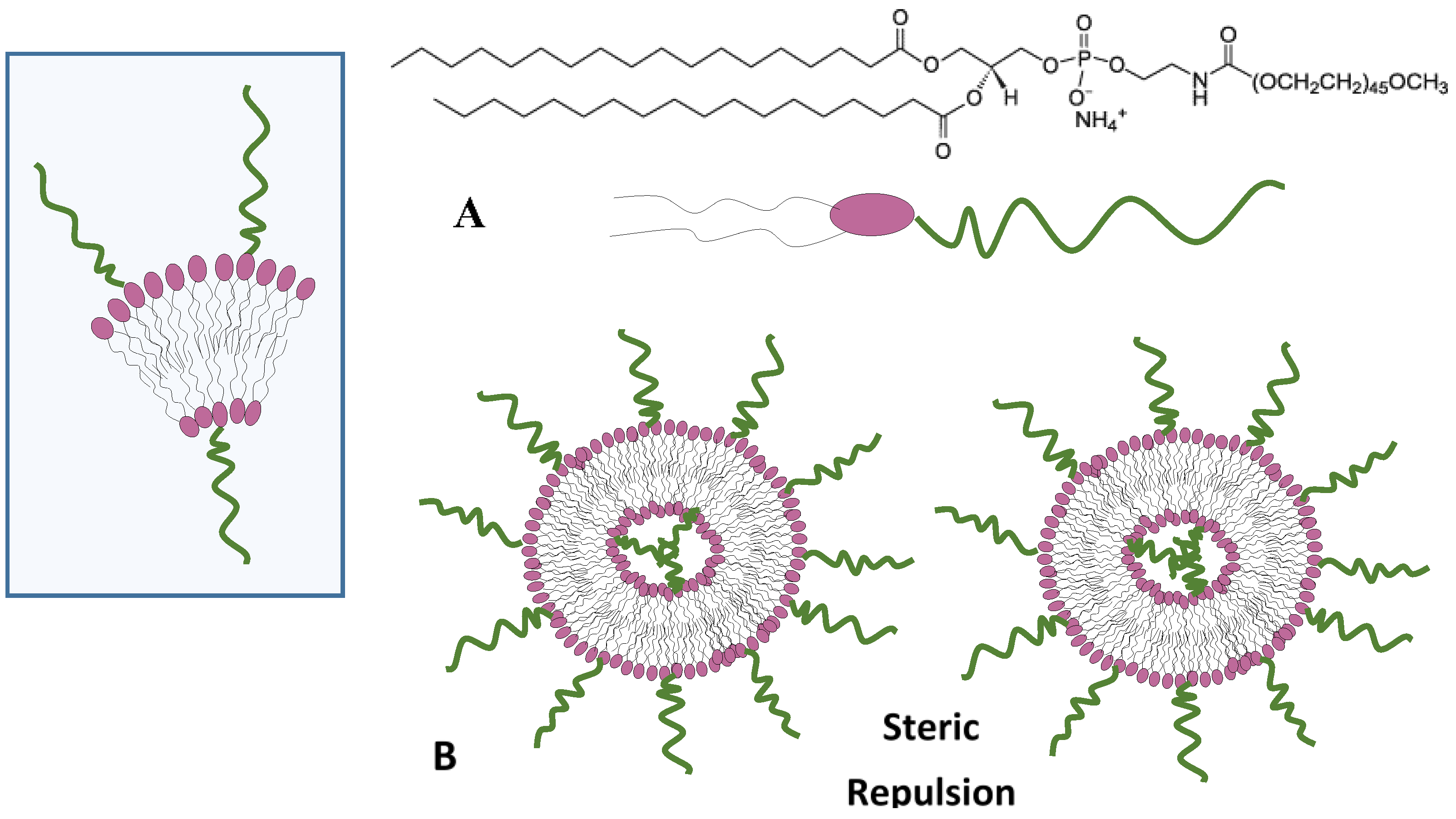 Nanomaterials 06 00125 g004