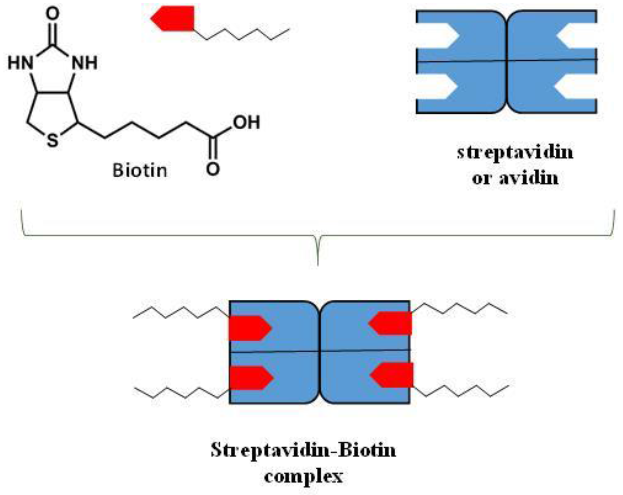 Nanomaterials 06 00125 g007