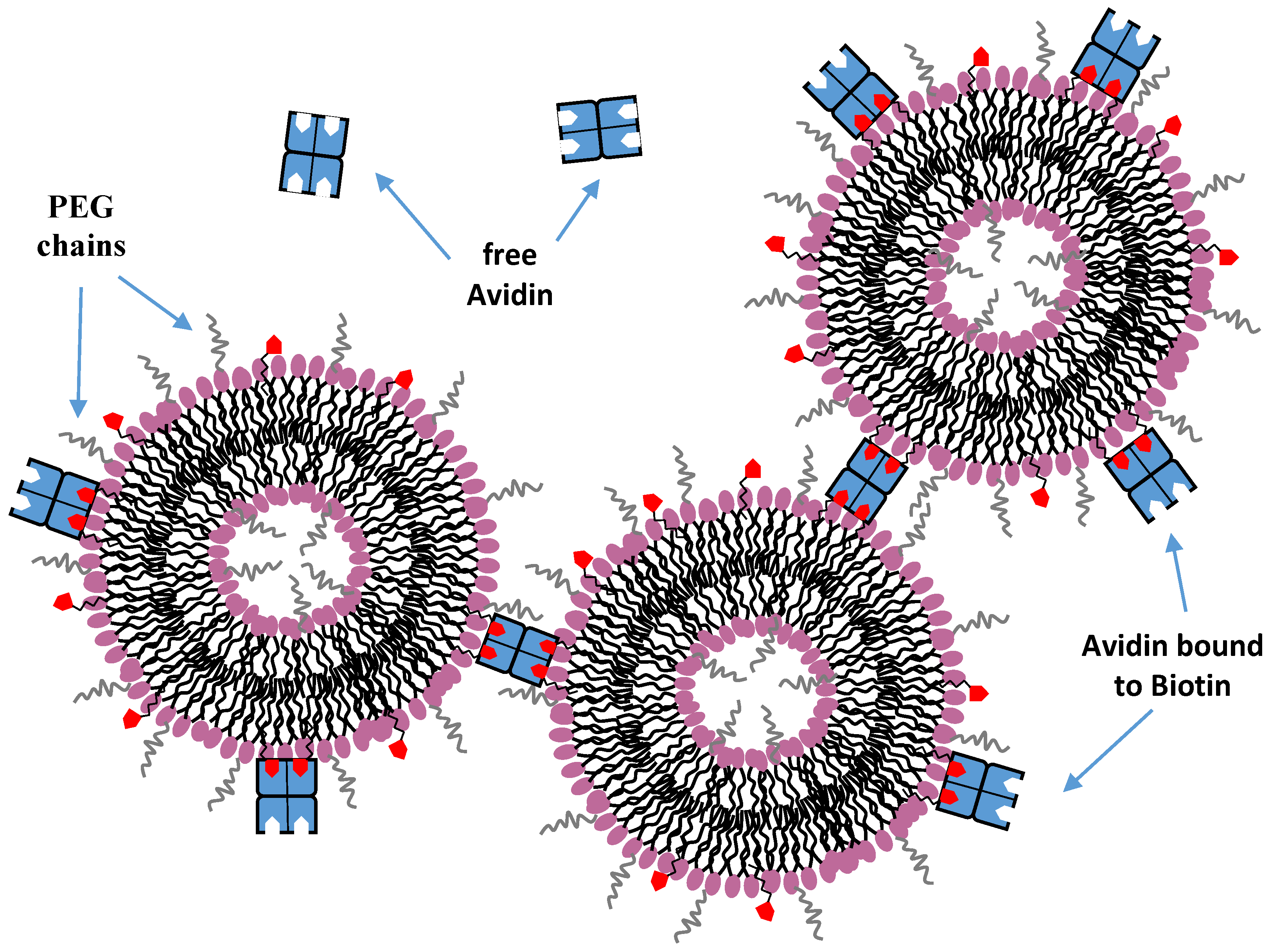 Nanomaterials 06 00125 g008