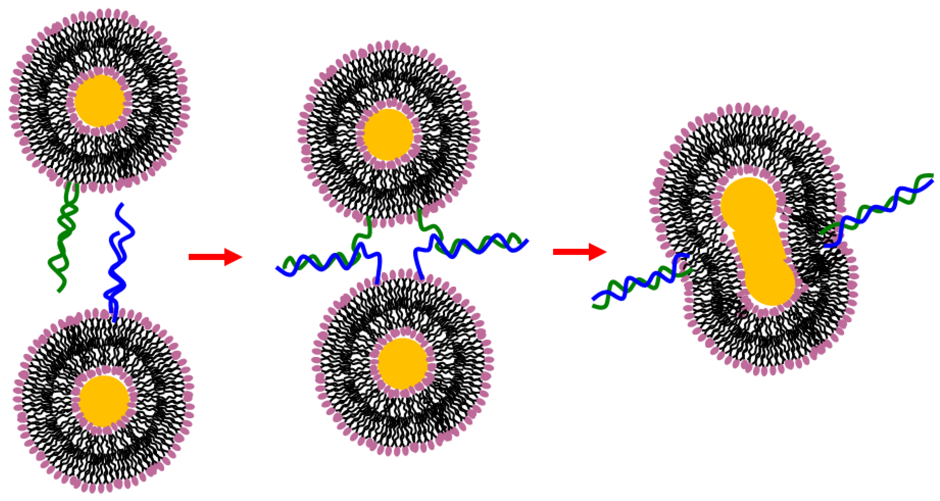 Nanomaterials 06 00125 g009