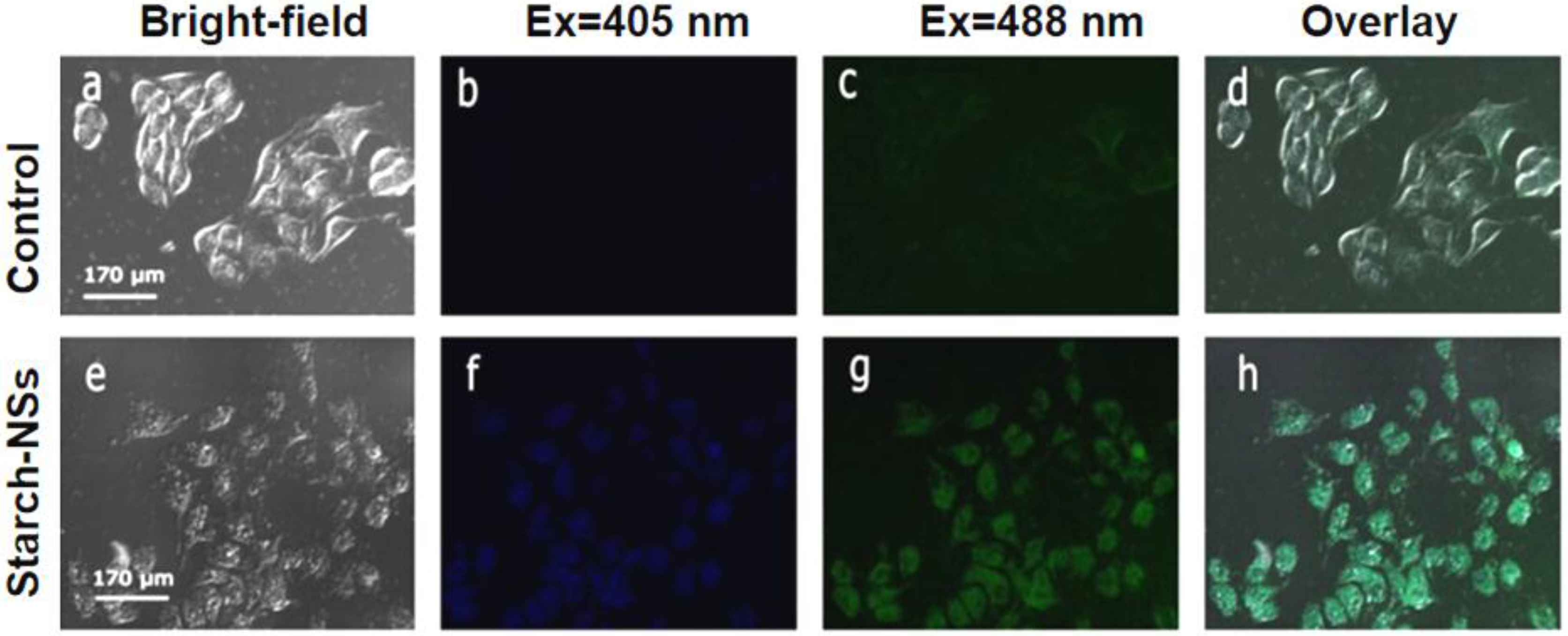 Nanomaterials 06 00130 g008