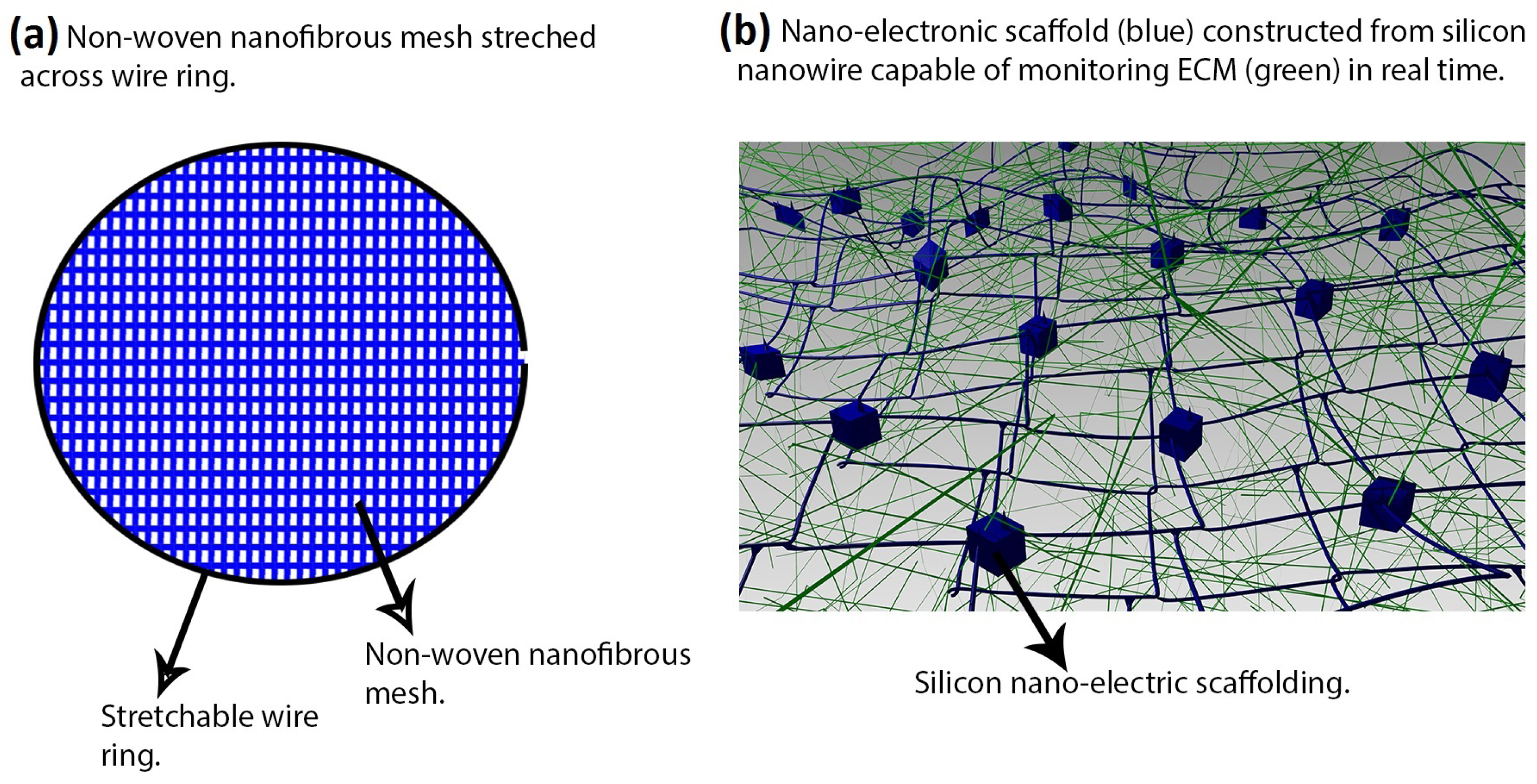 Nanomaterials 06 00133 g003