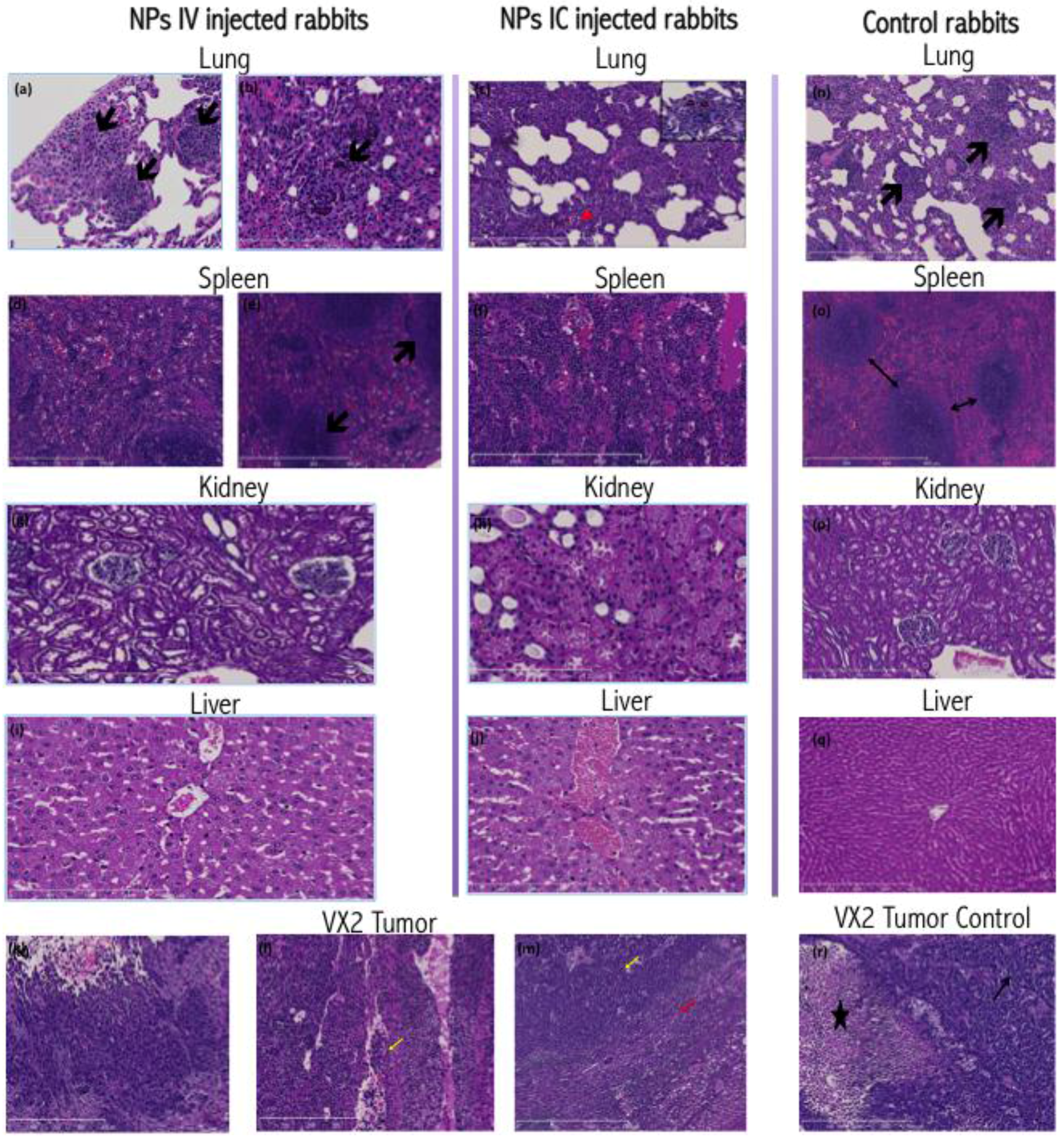 Nanomaterials 06 00143 g002