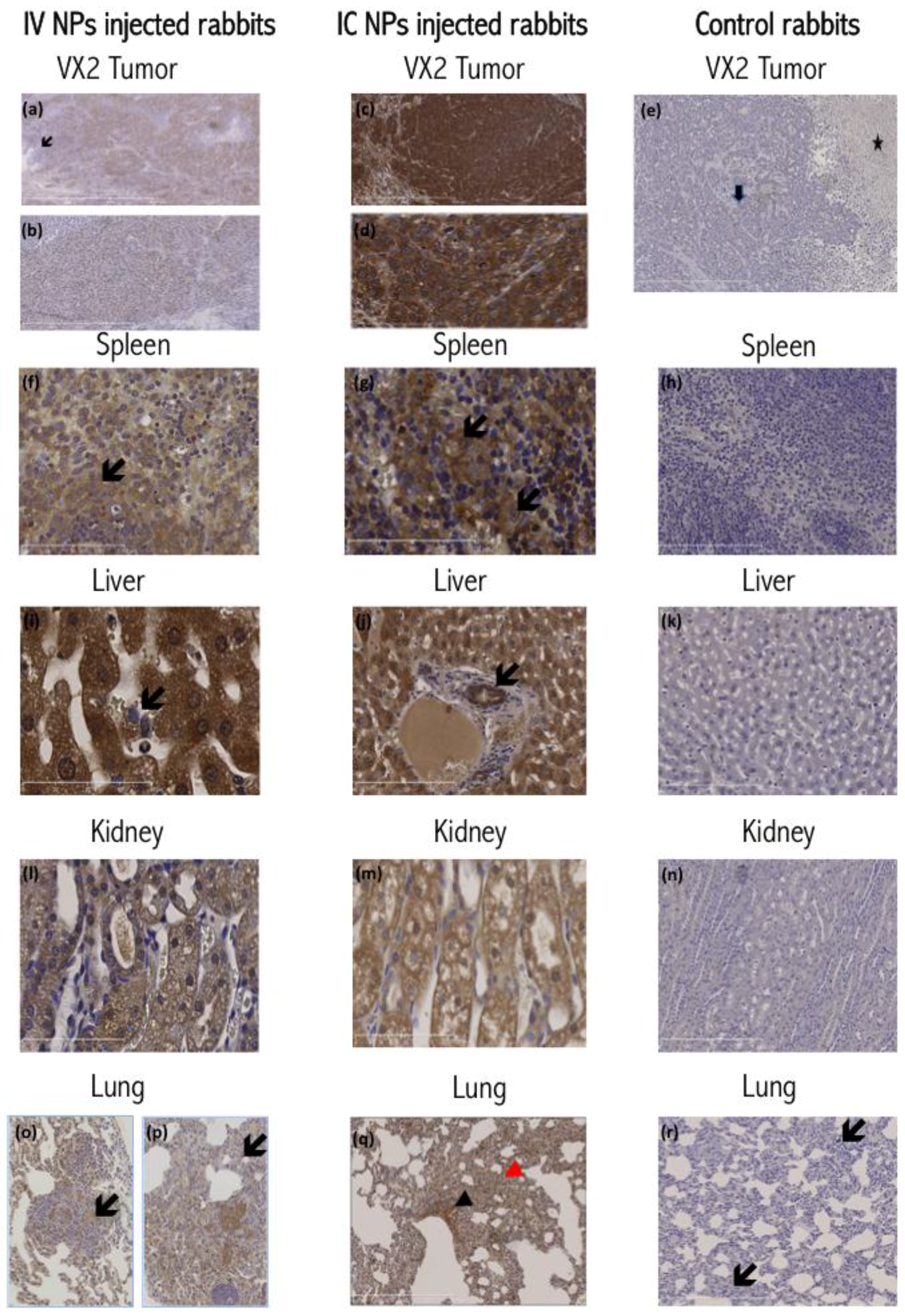 Nanomaterials 06 00143 g003