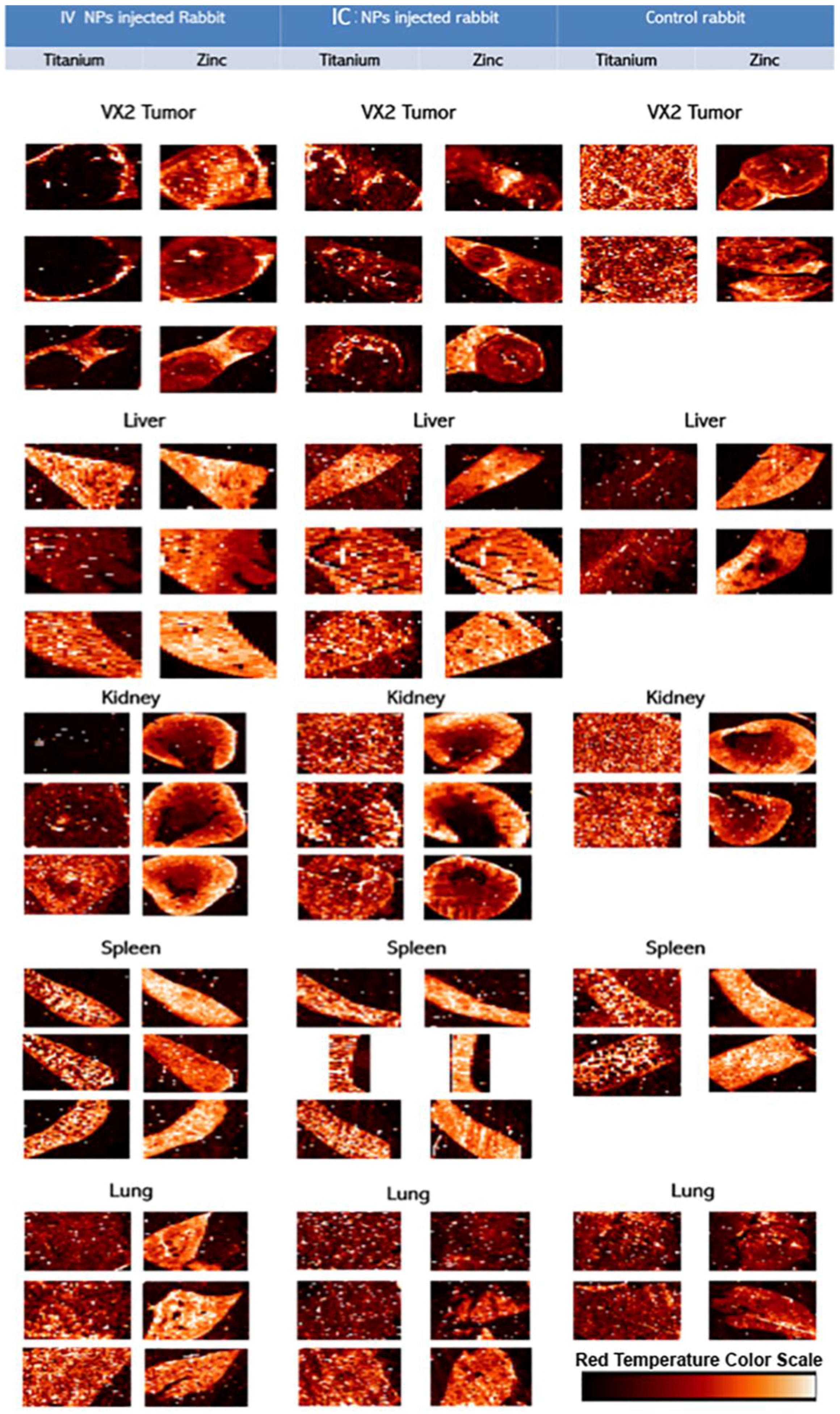 Nanomaterials 06 00143 g005