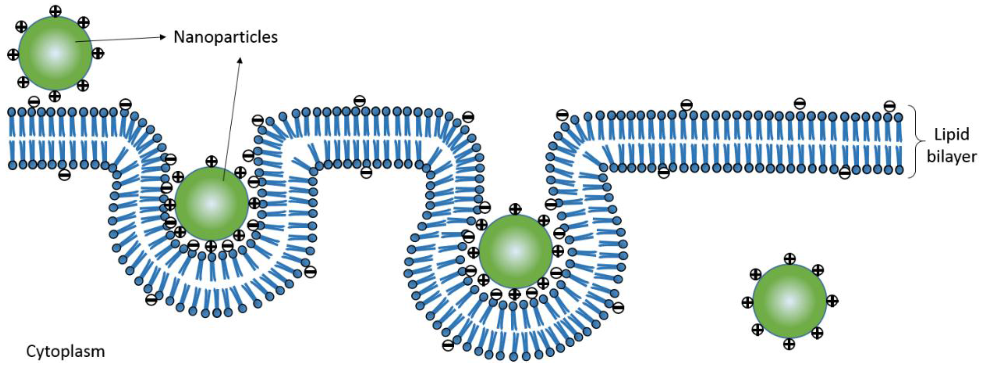 Nanomaterials 06 00165 g009