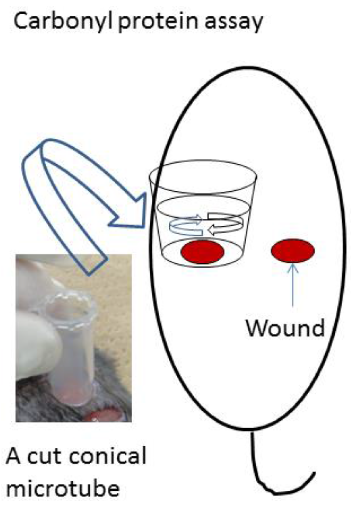 Nanomaterials 06 00189 g006