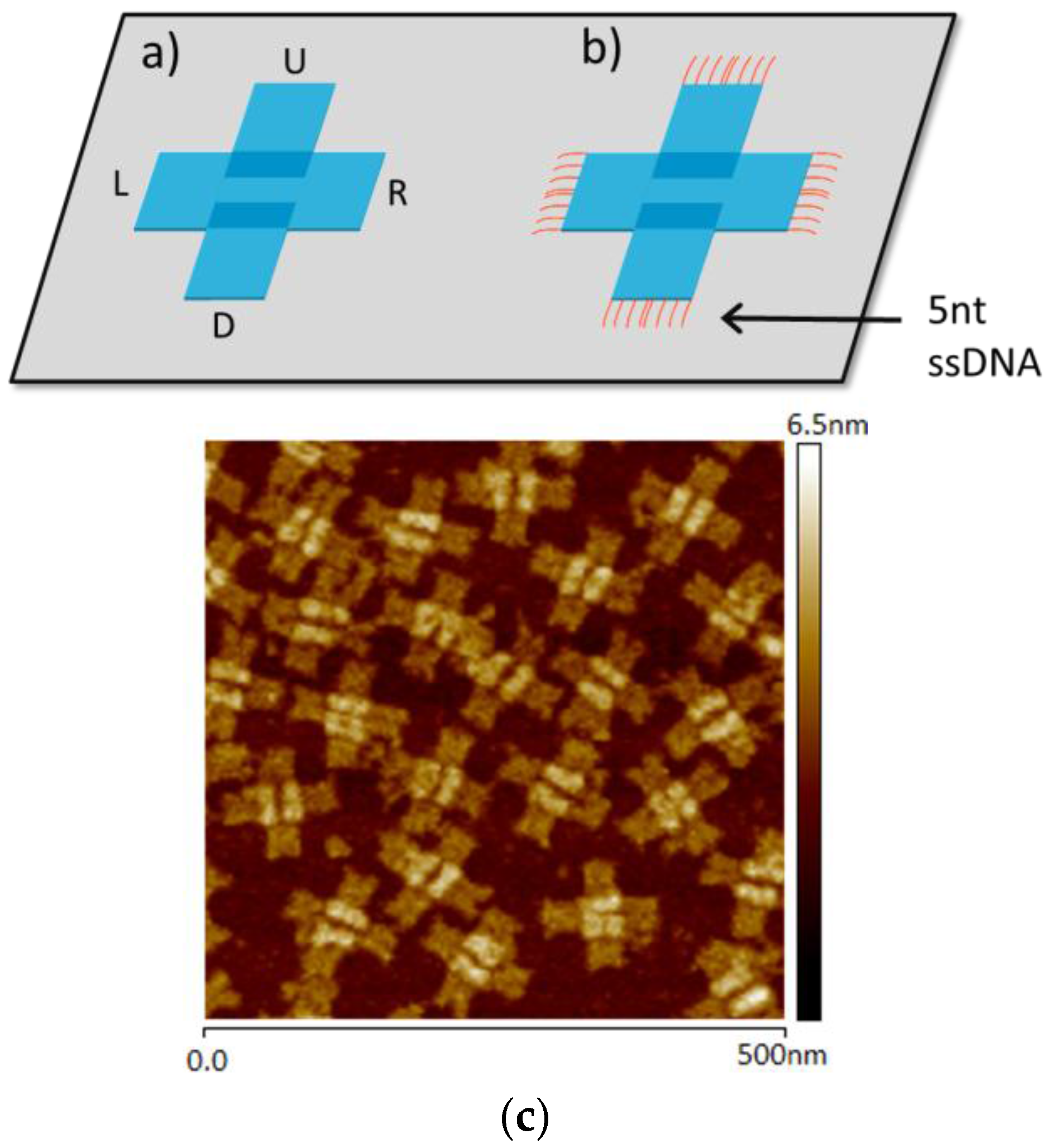 Nanomaterials 06 00196 g001
