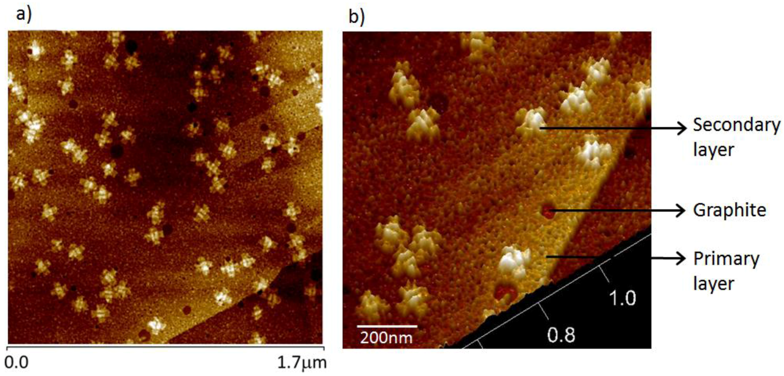 Nanomaterials 06 00196 g003