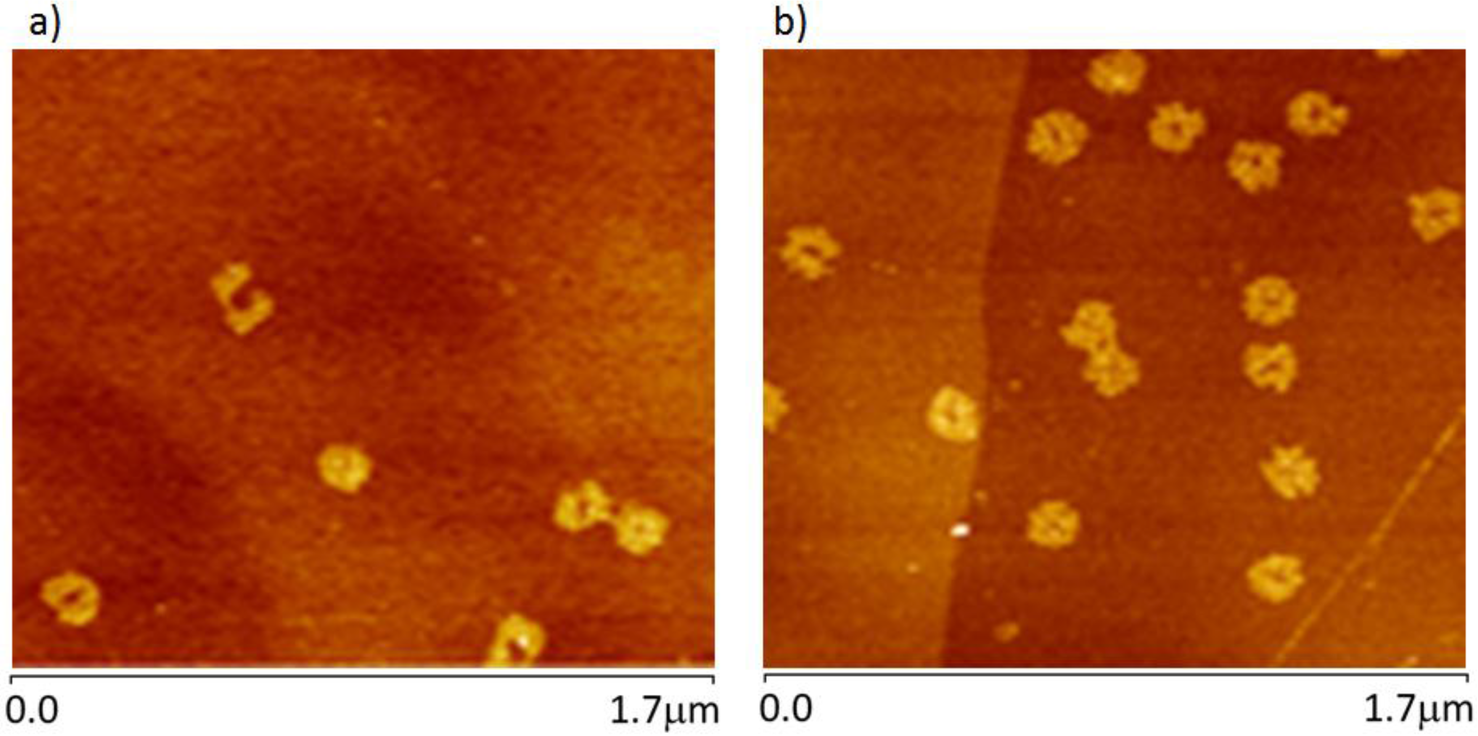 Nanomaterials 06 00196 g004