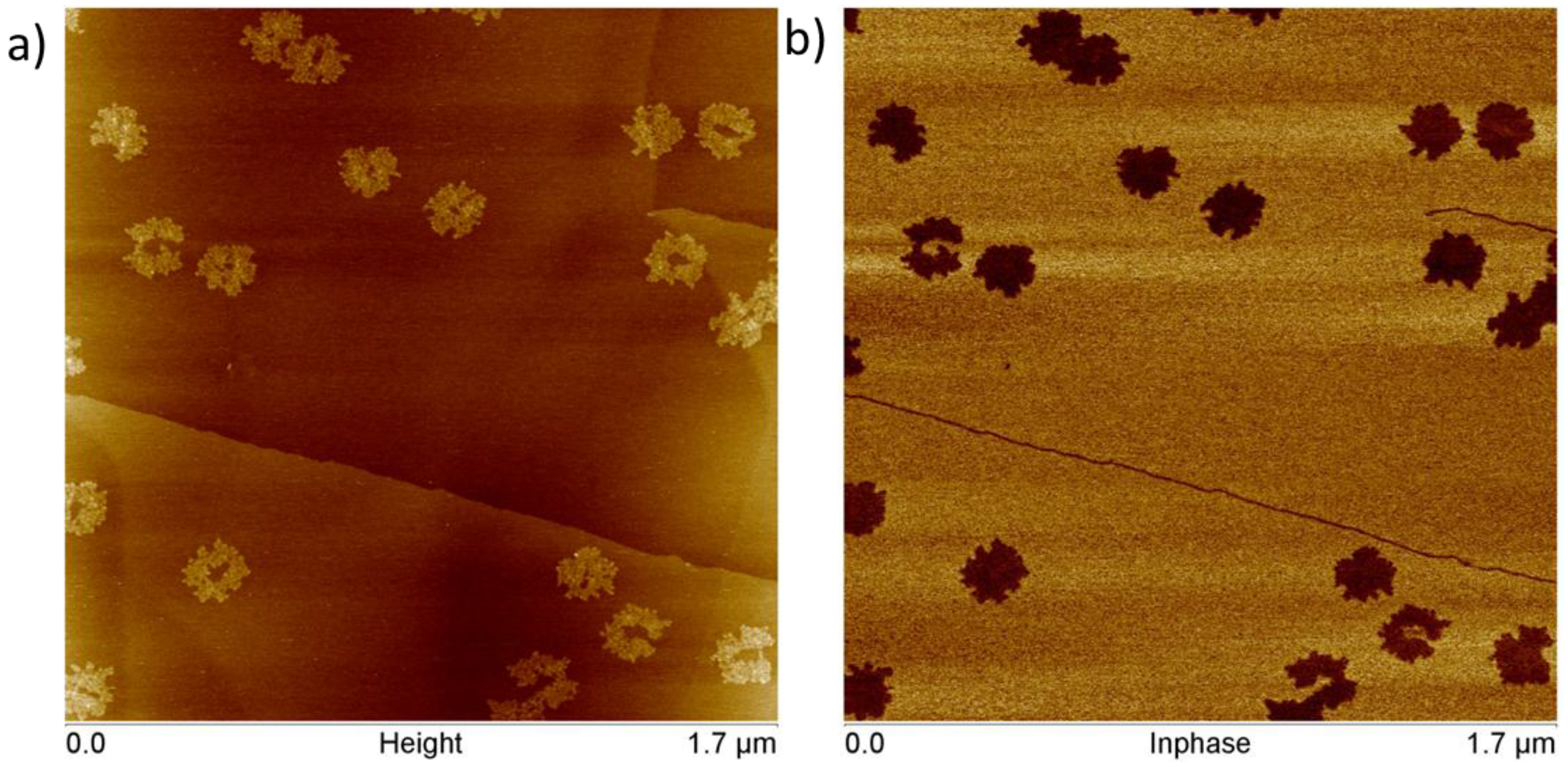 Nanomaterials 06 00196 g005