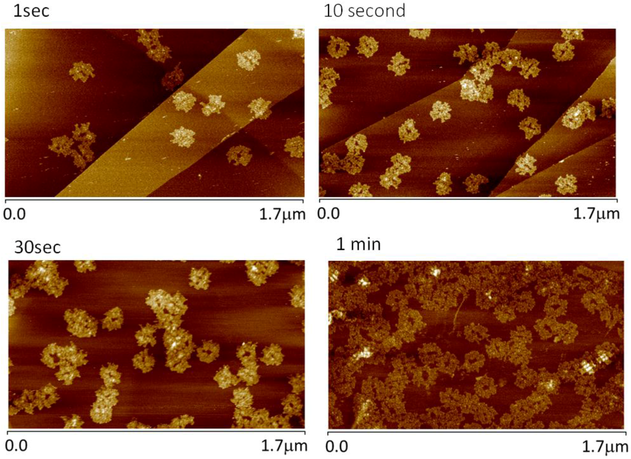 Nanomaterials 06 00196 g006