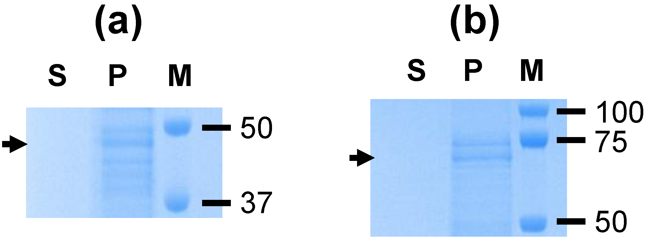 Nanomaterials 06 00201 g002