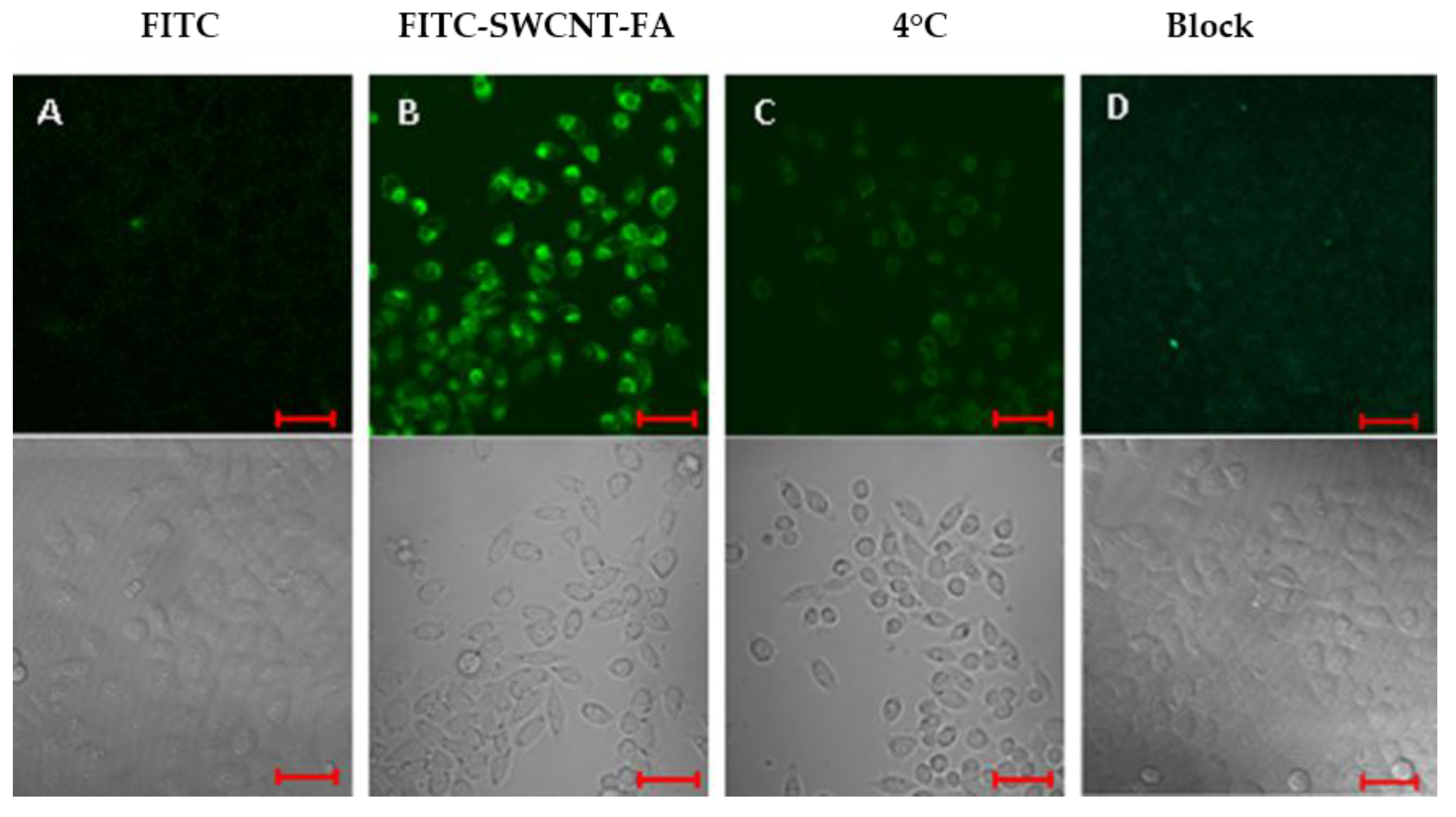 Nanomaterials 06 00216 g004
