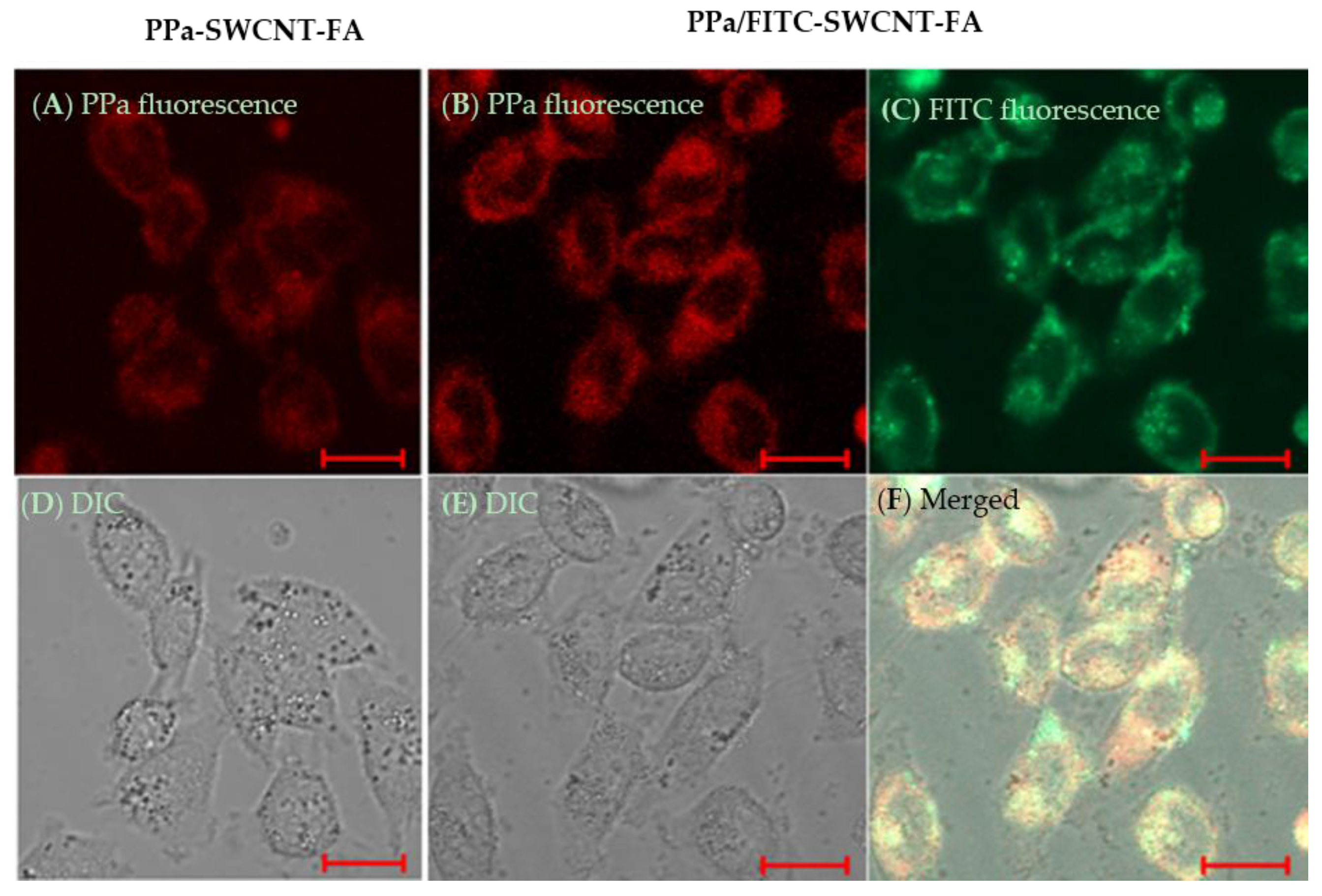 Nanomaterials 06 00216 g005