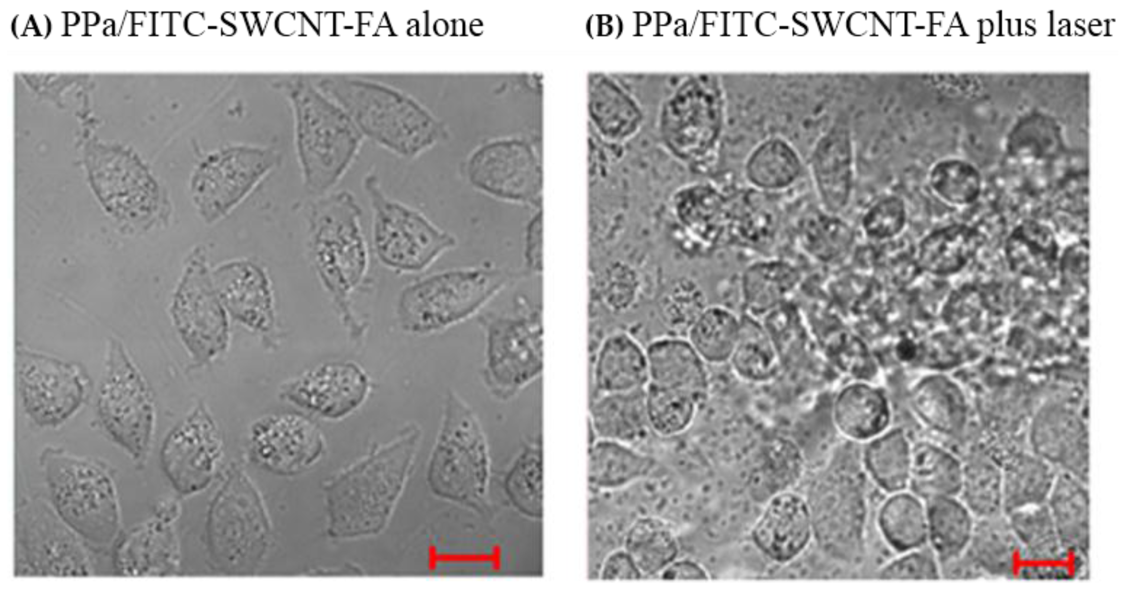 Nanomaterials 06 00216 g006