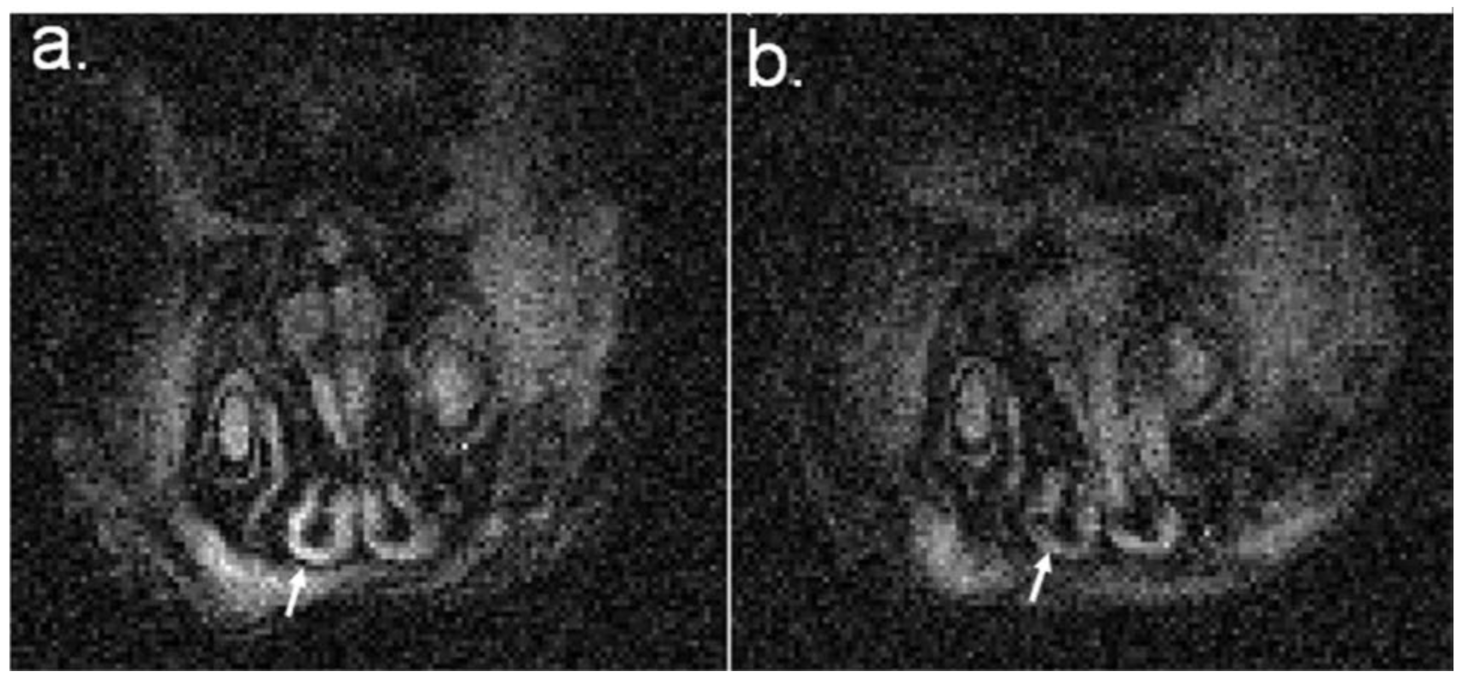 Nanomaterials 06 00223 g006