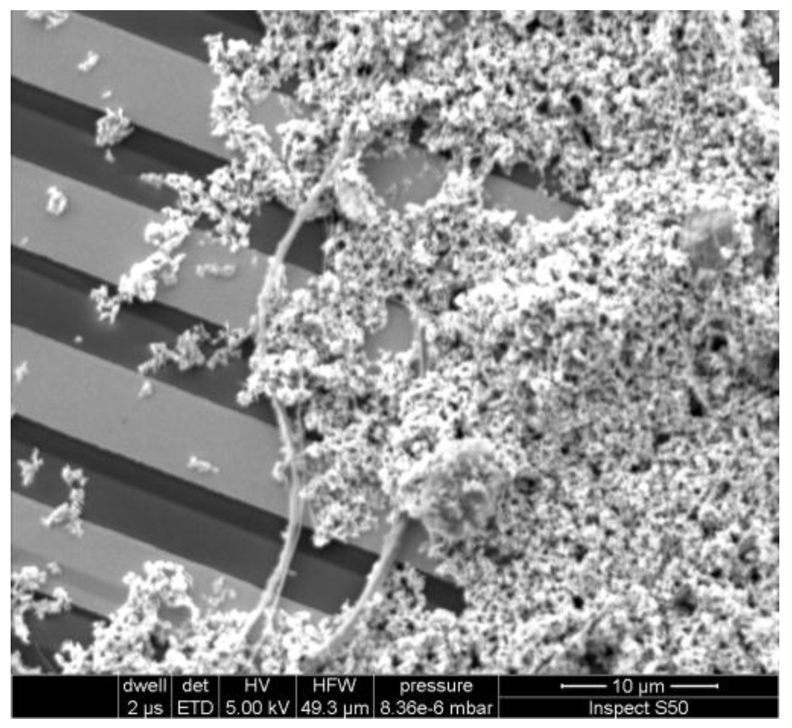 Nanomaterials 06 00227 g005