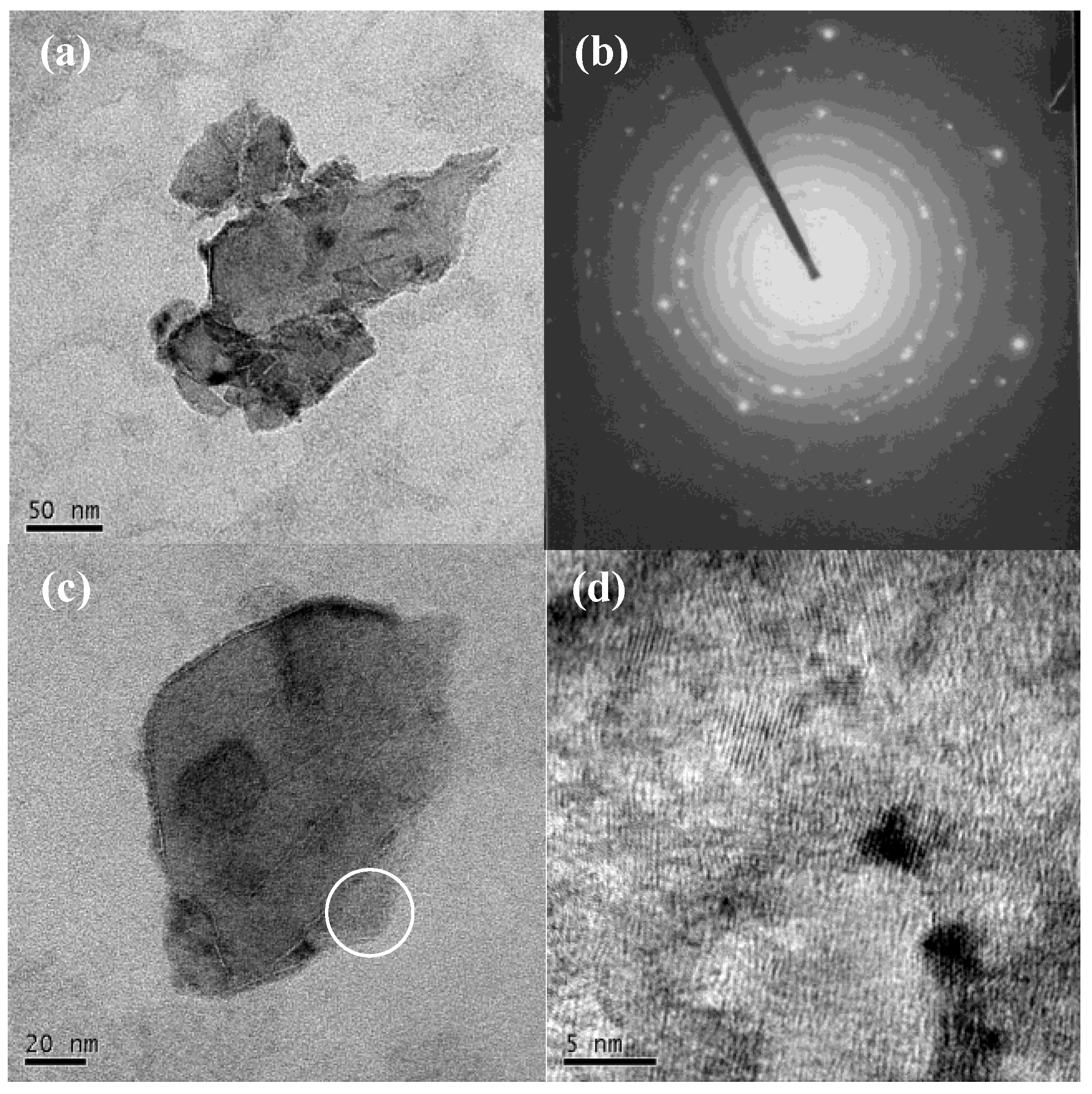 Nanomaterials 06 00234 g001