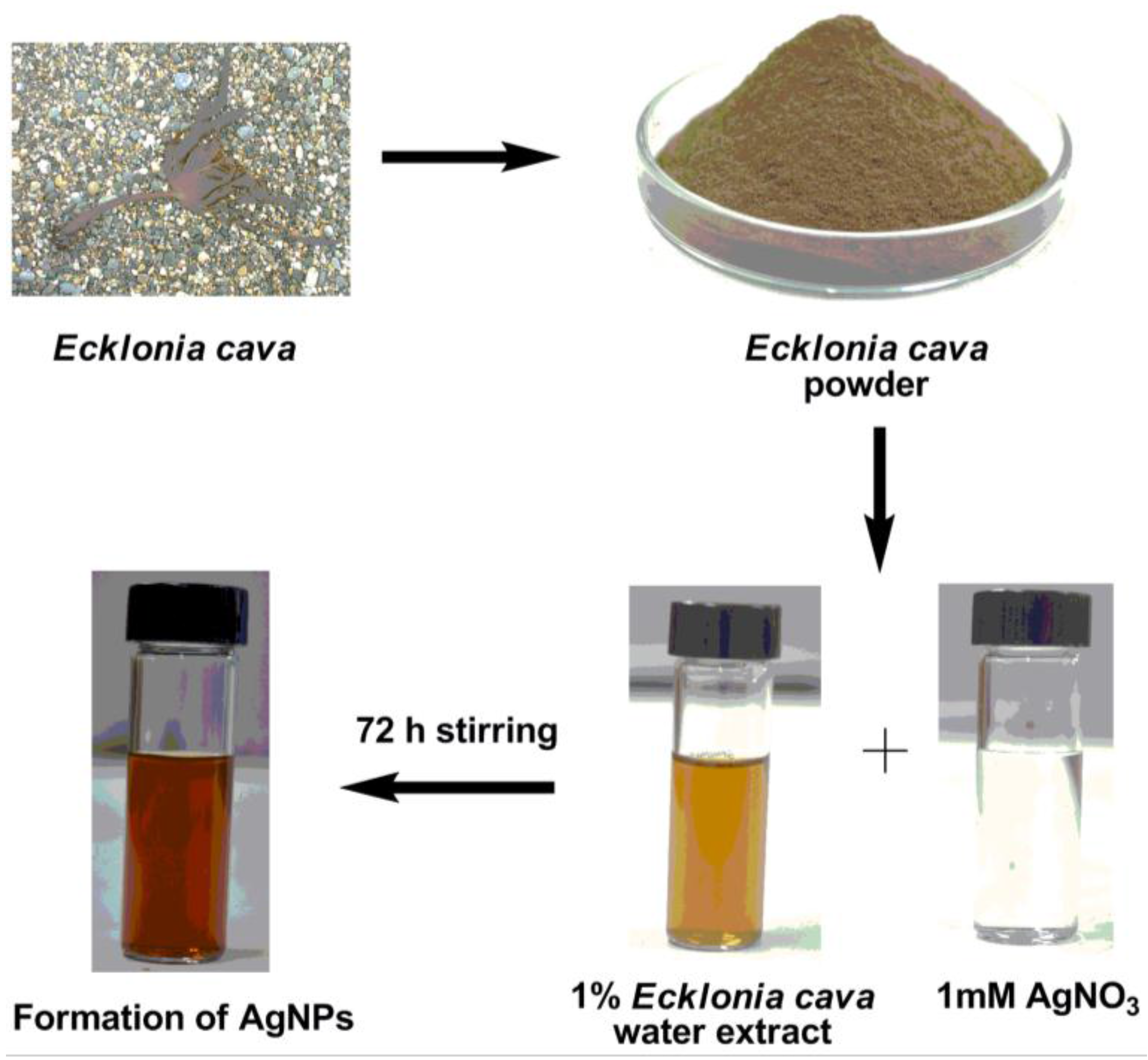 Nanomaterials 06 00235 g002