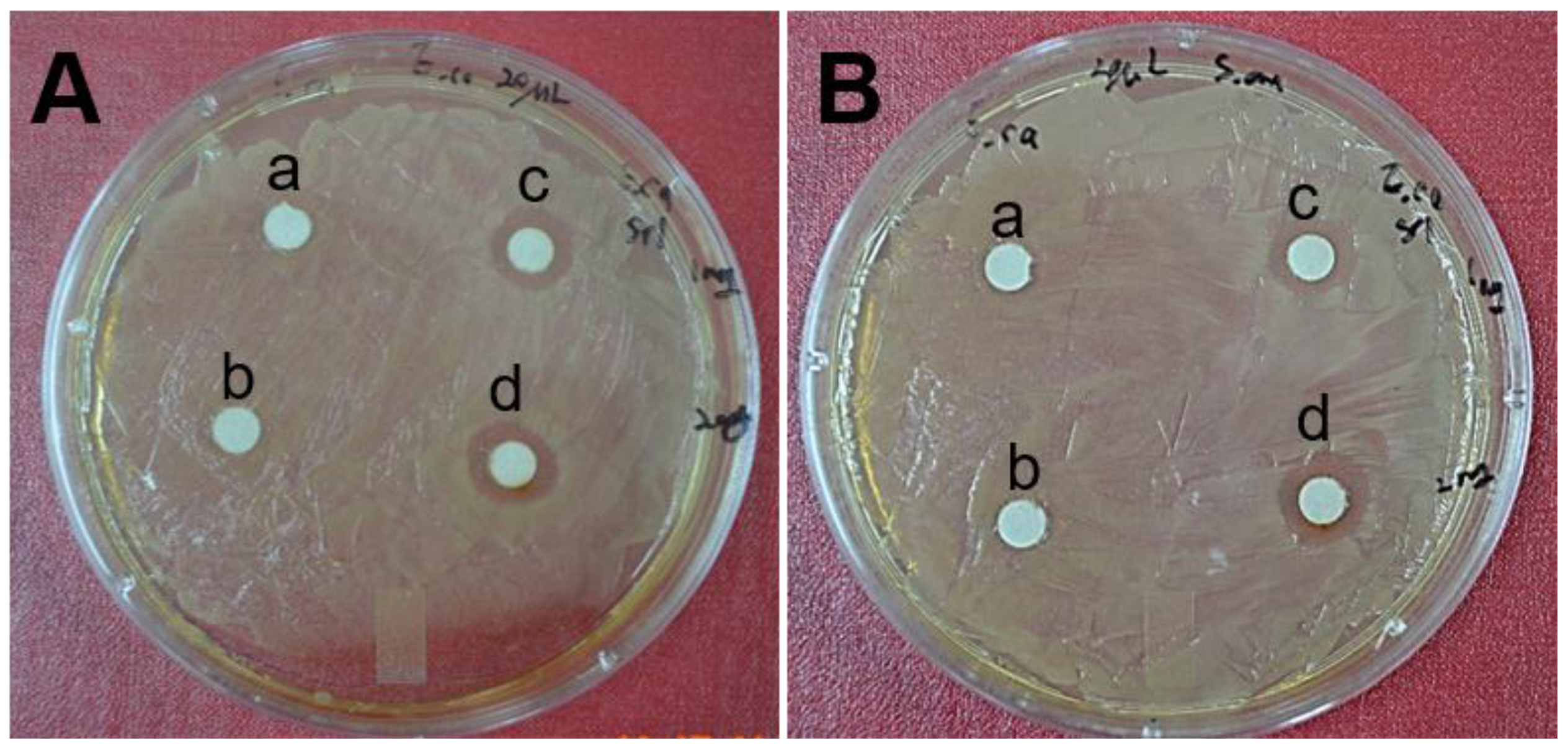 Nanomaterials 06 00235 g008