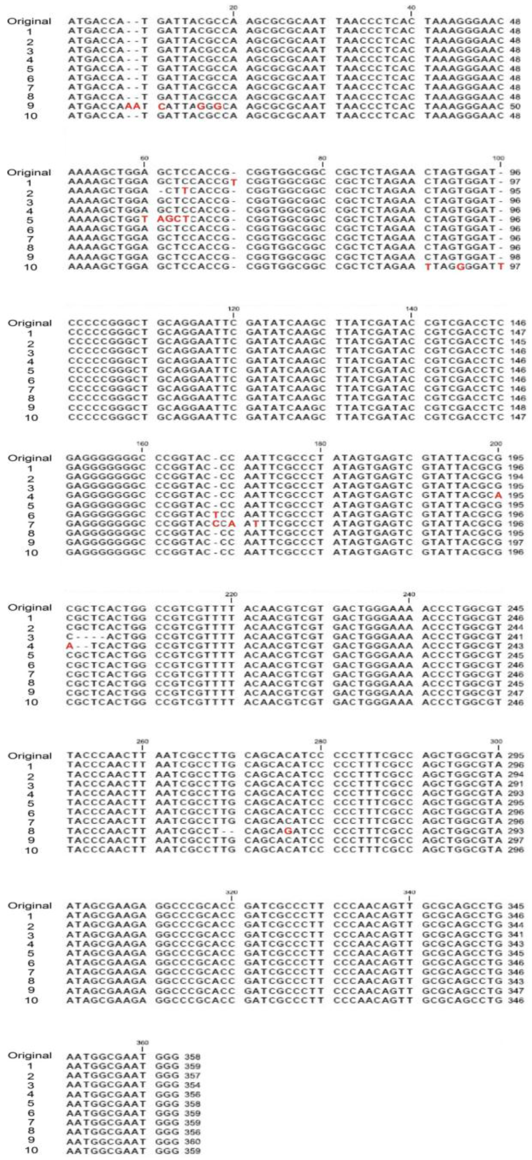 Nanomaterials 07 00002 g005