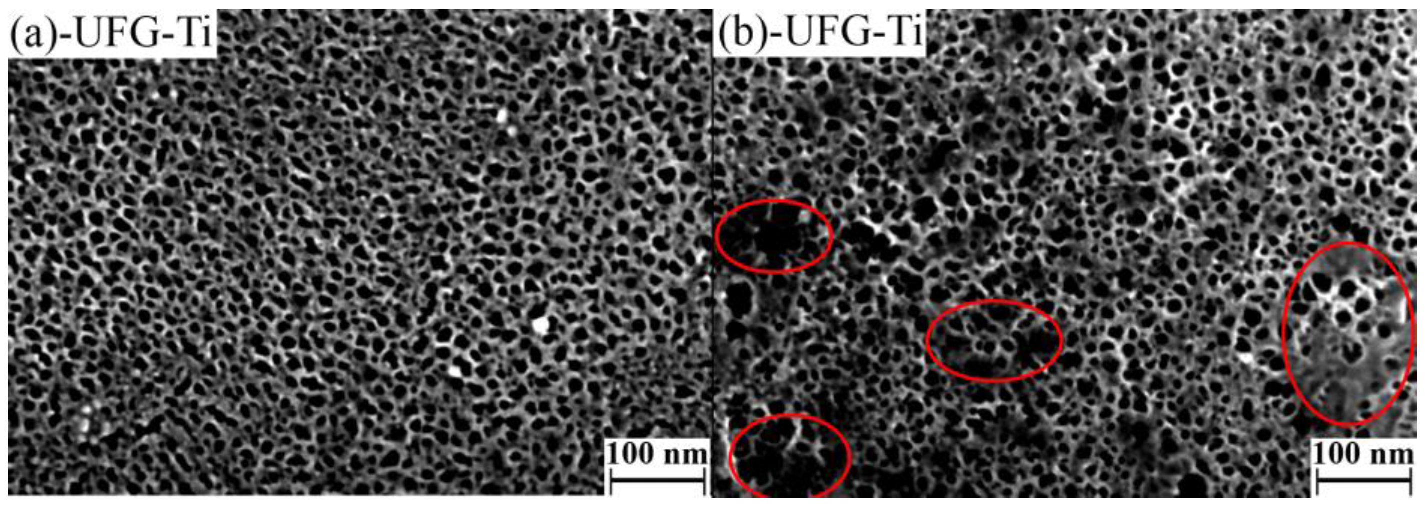 Nanomaterials 07 00015 g001