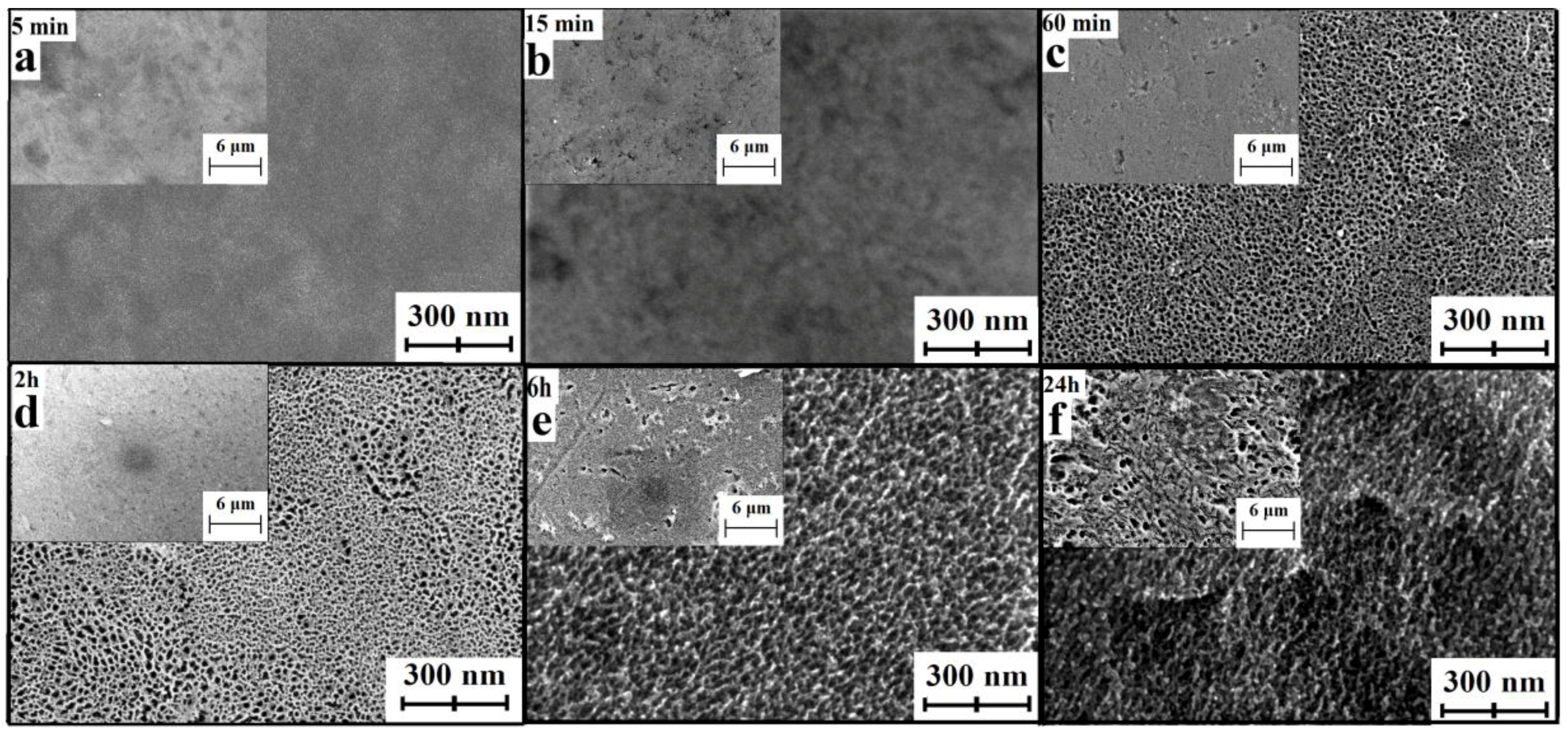 Nanomaterials 07 00015 g002