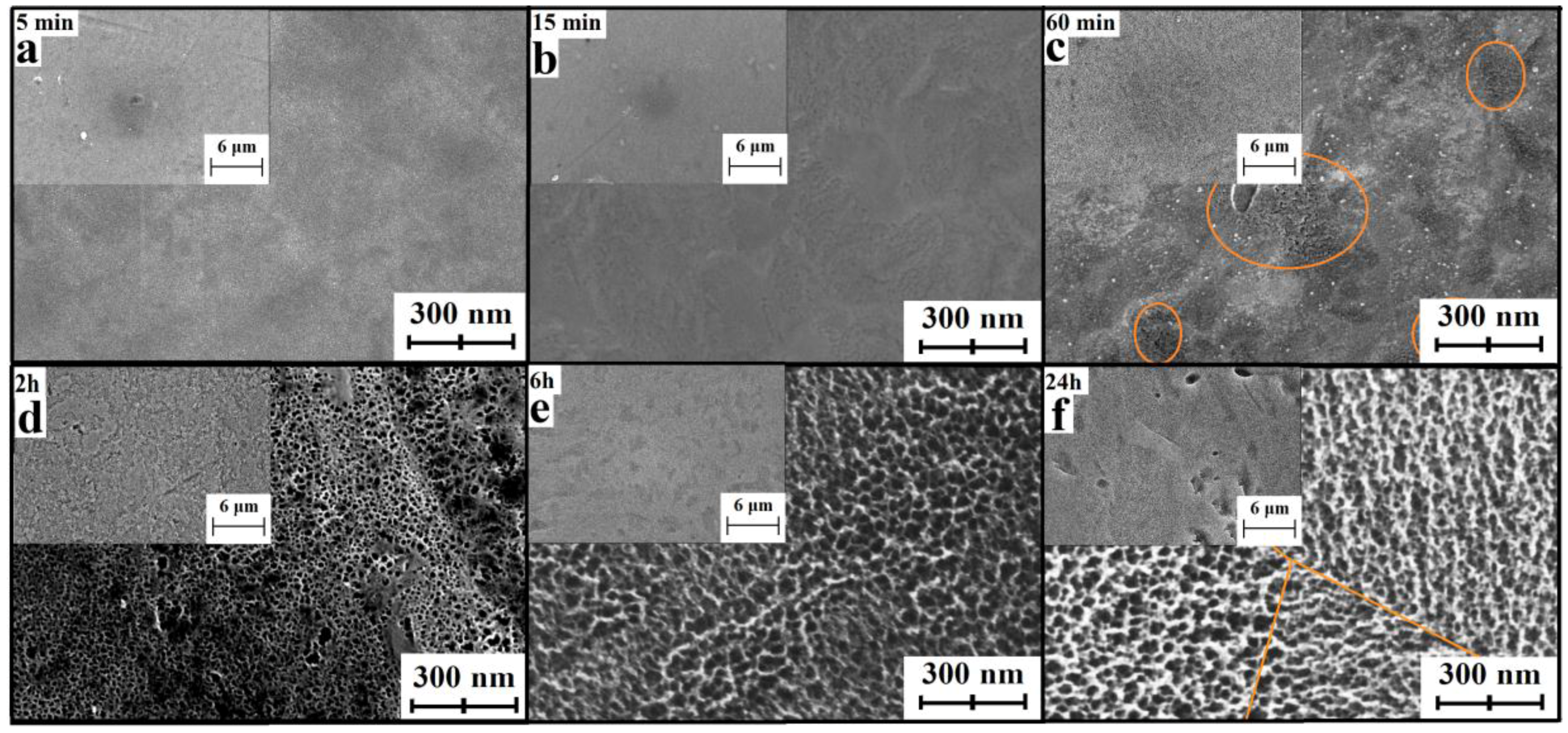 Nanomaterials 07 00015 g003