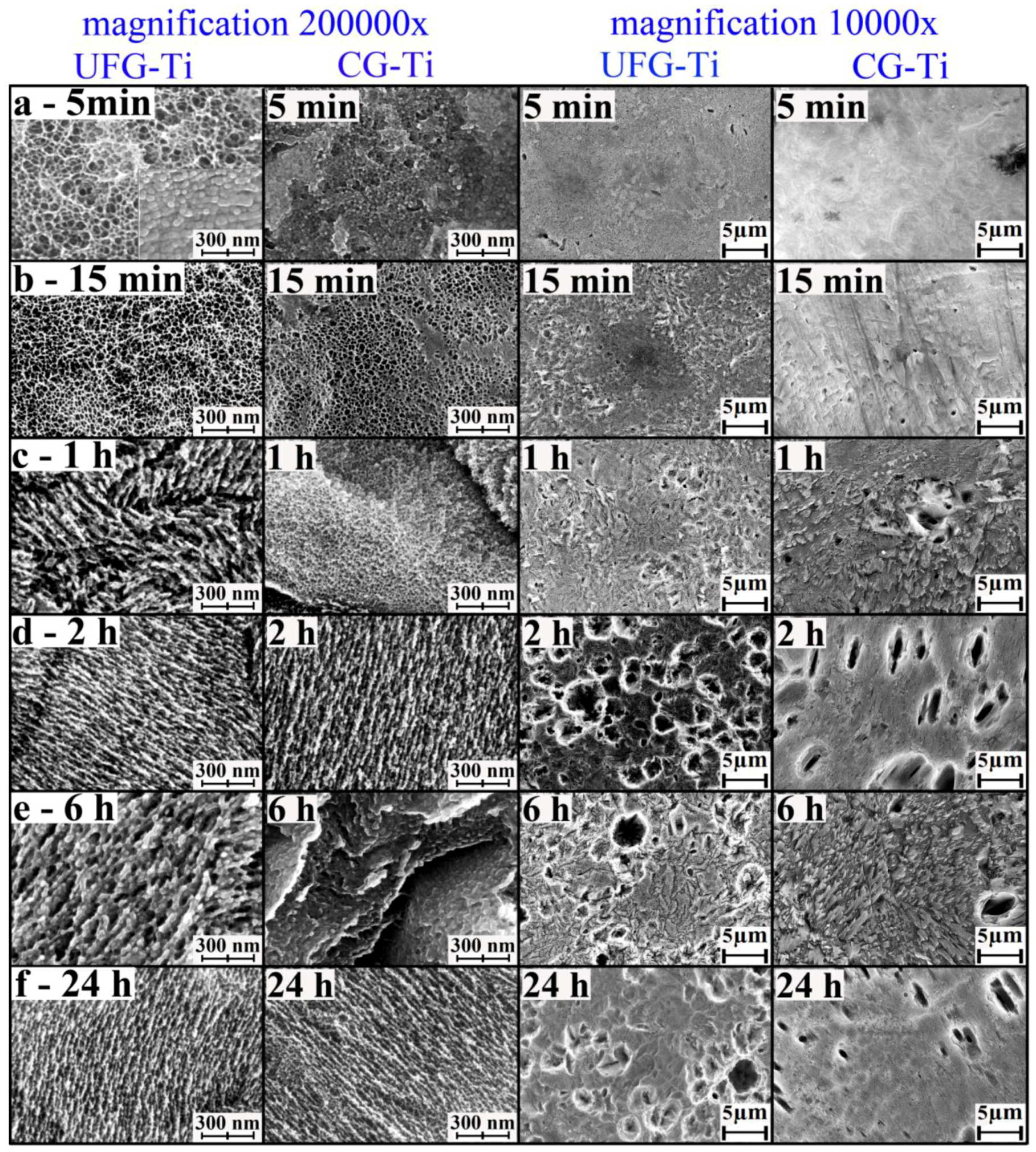 Nanomaterials 07 00015 g004