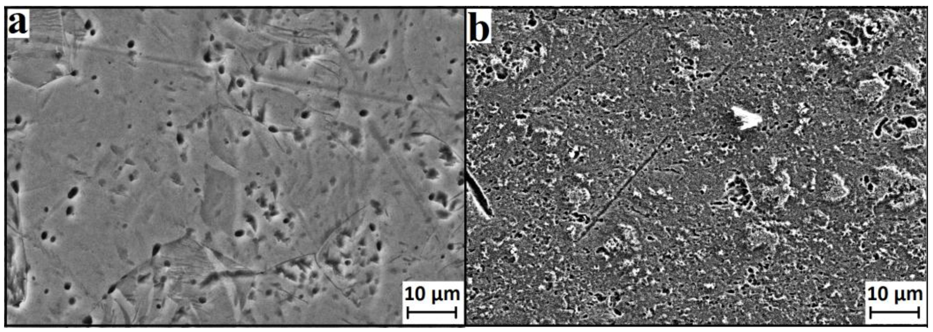 Nanomaterials 07 00015 g011