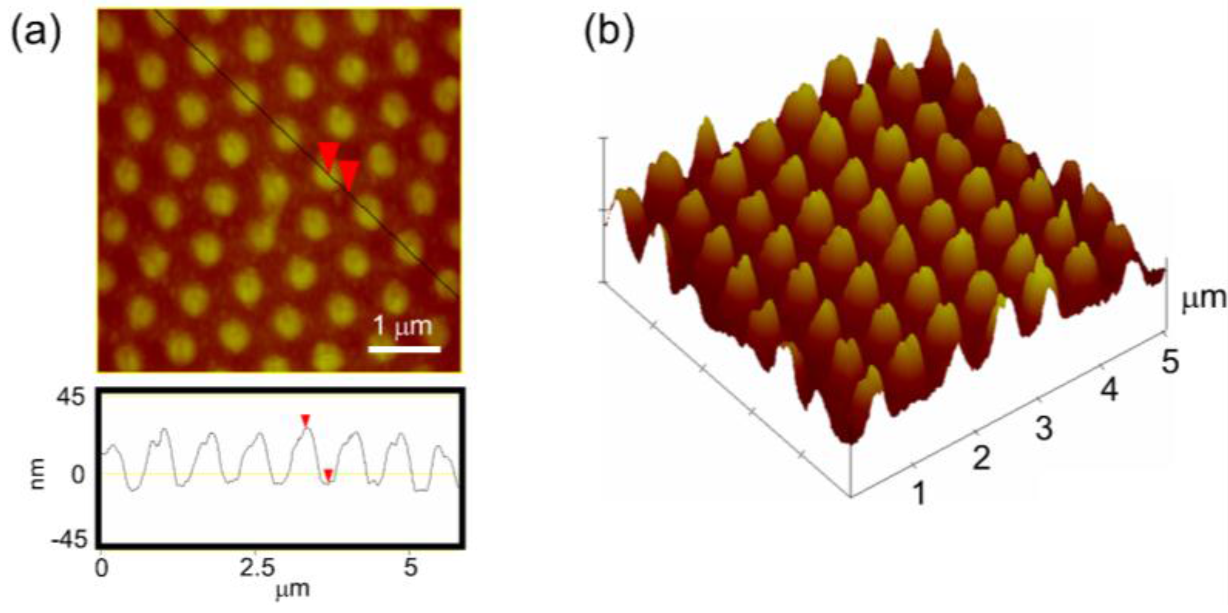 Nanomaterials 07 00017 g010