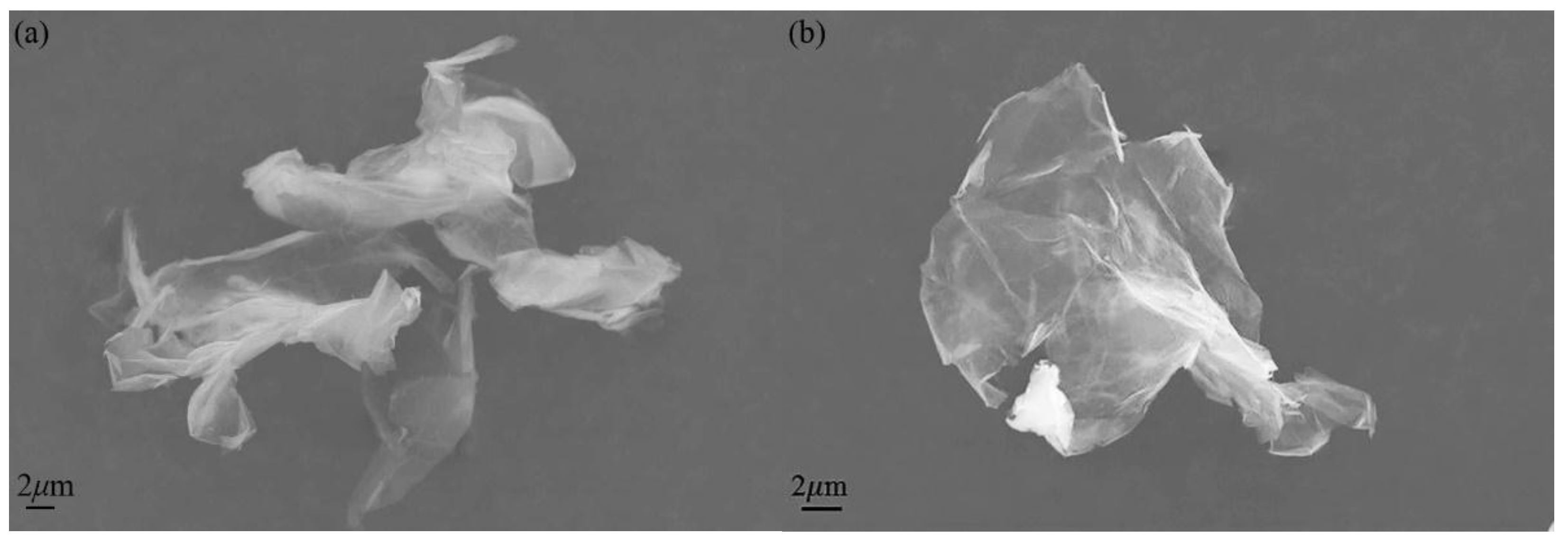 Nanomaterials 07 00025 g004