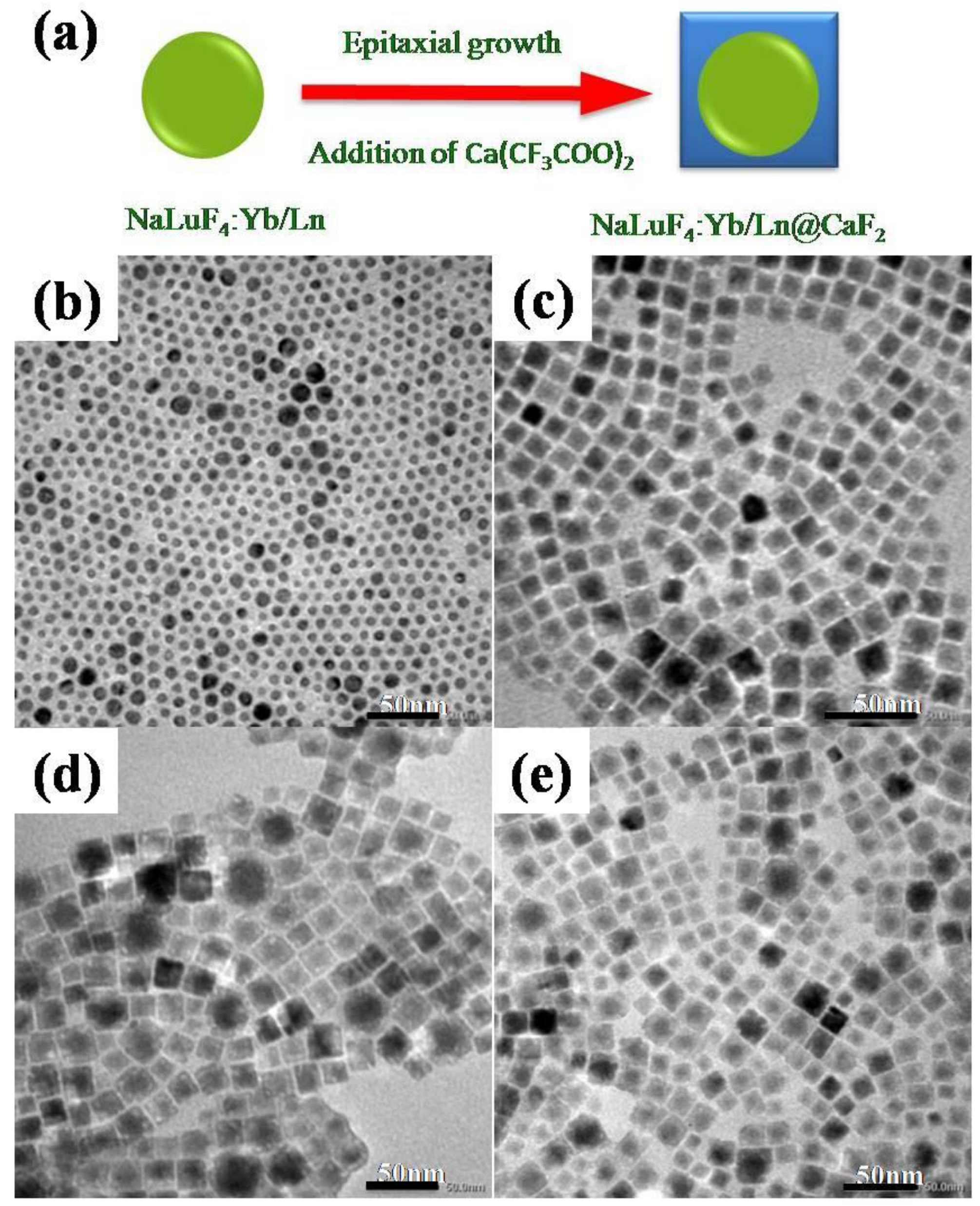 Nanomaterials 07 00034 g003