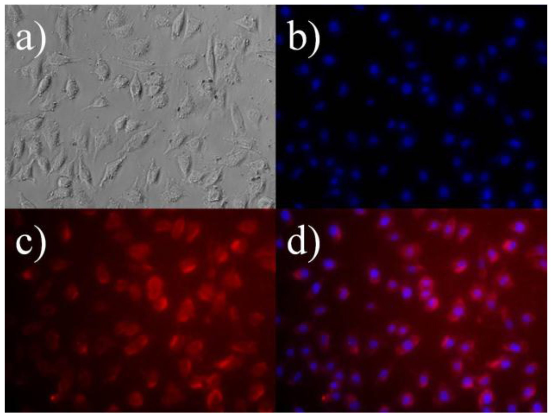 Nanomaterials 07 00035 g005
