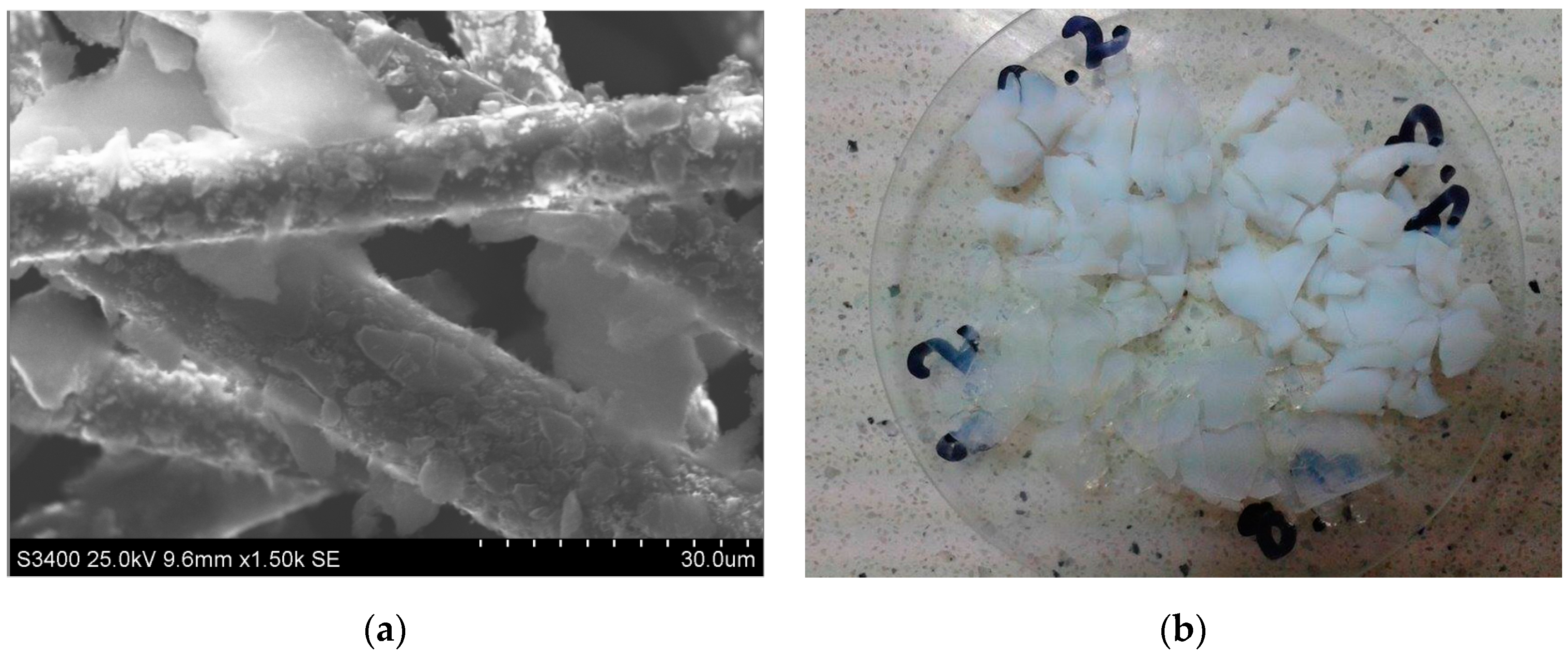 Nanomaterials 07 00044 g002