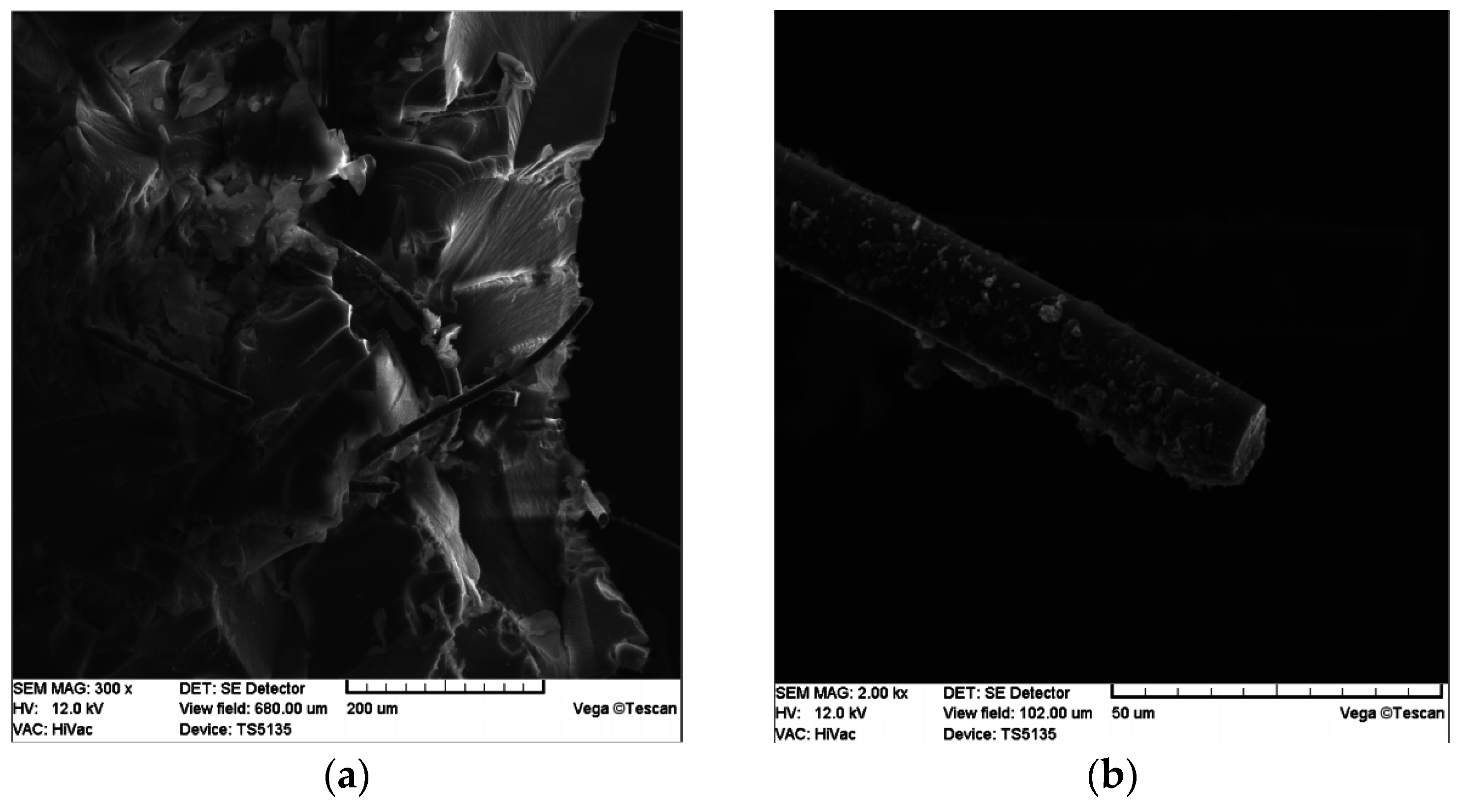 Nanomaterials 07 00044 g006