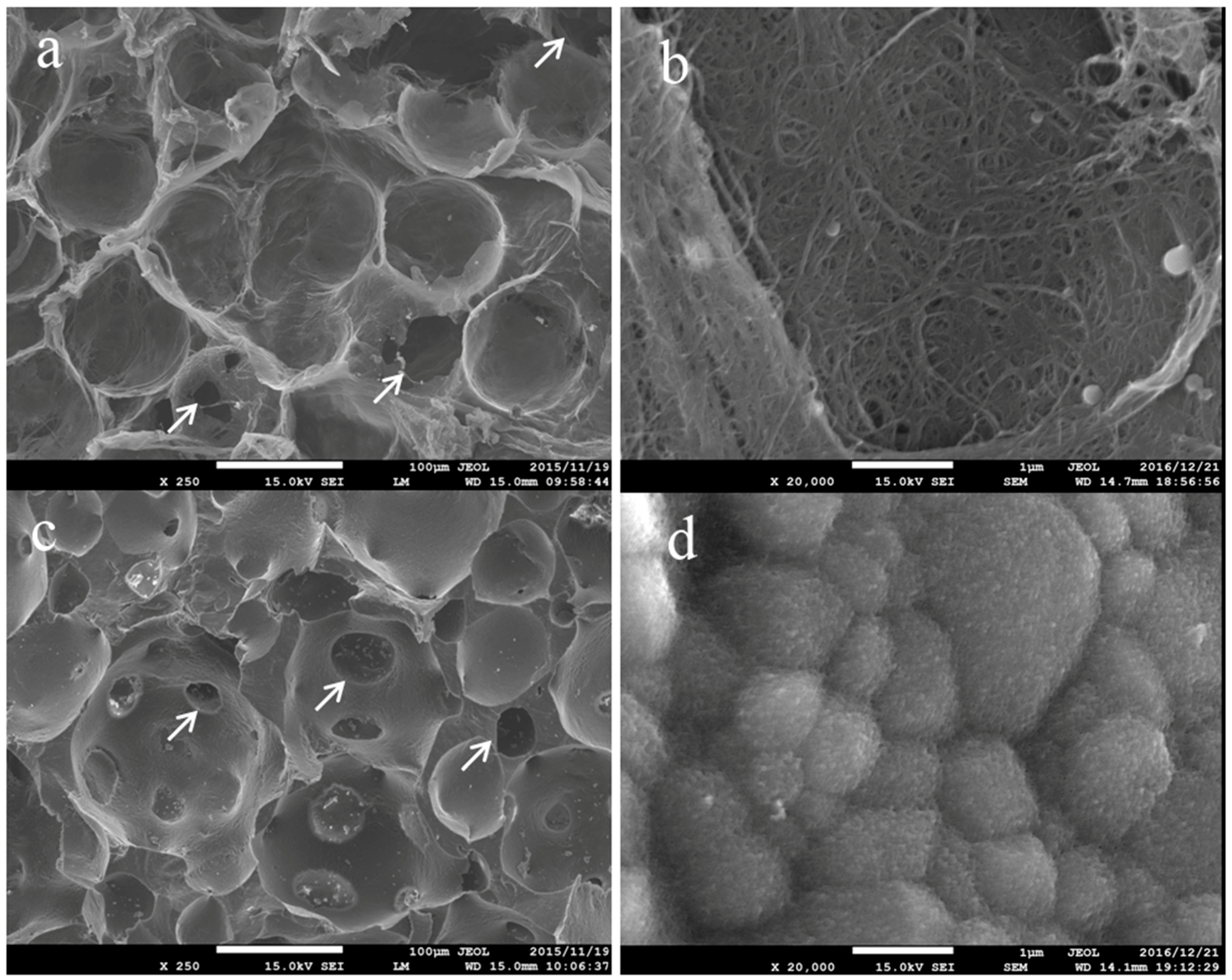 Nanomaterials 07 00046 g001
