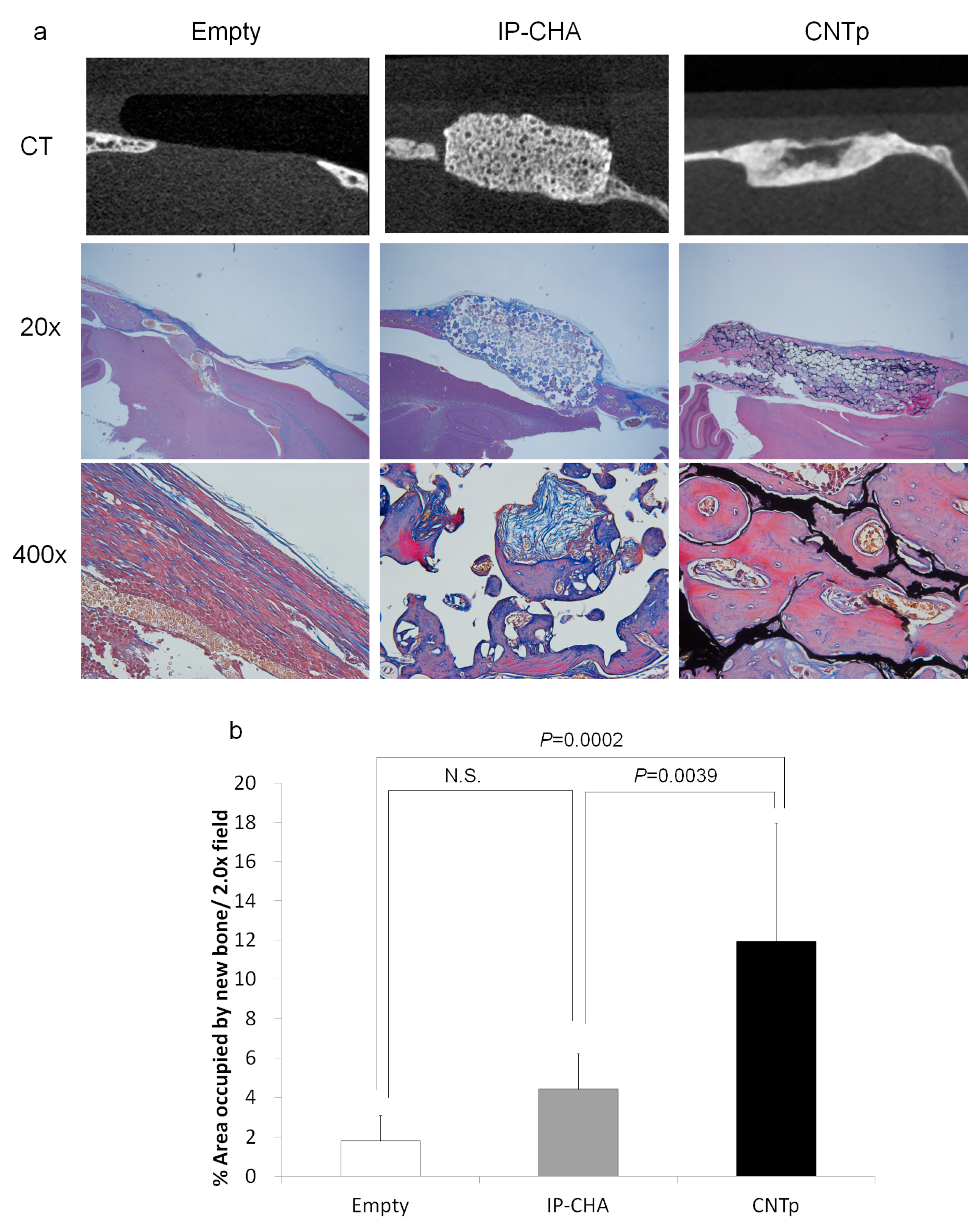 Nanomaterials 07 00046 g010