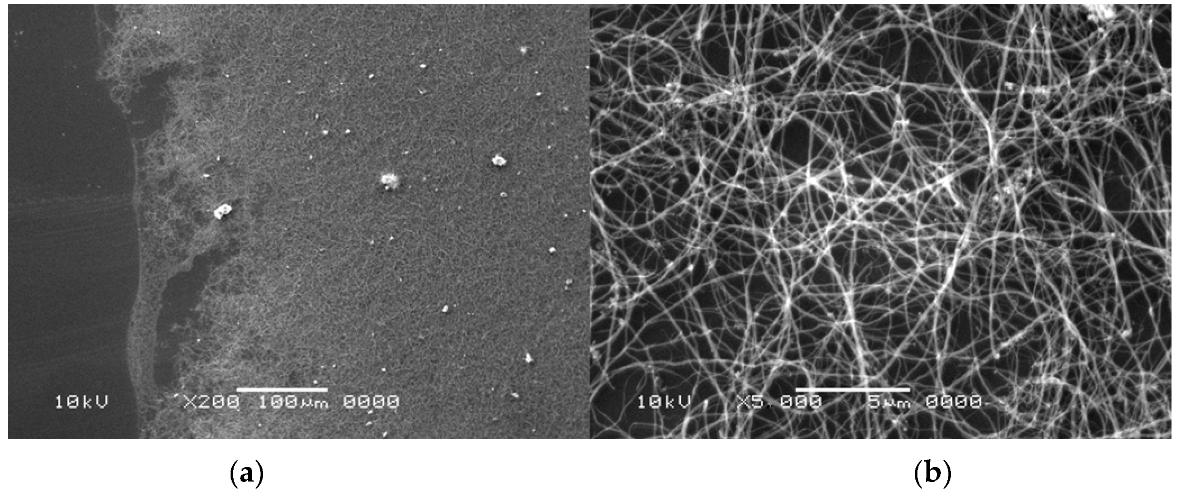 Nanomaterials 07 00050 g005