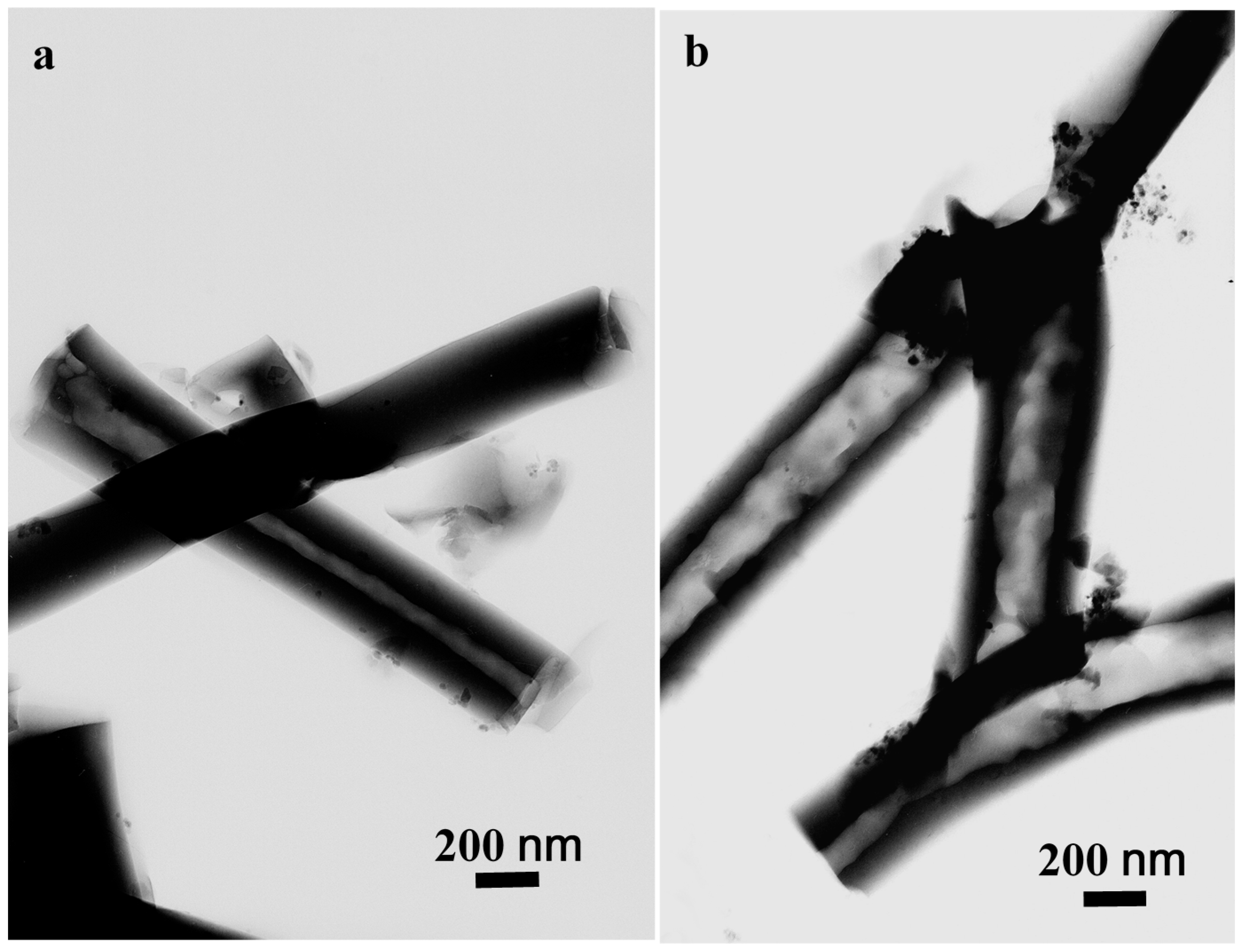 Nanomaterials 07 00053 g004