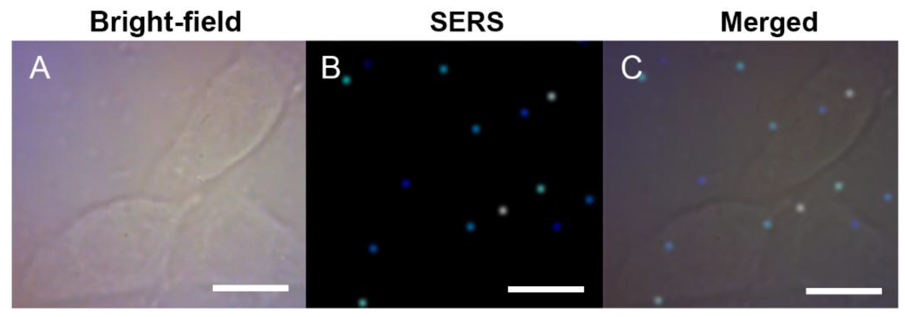 Nanomaterials 07 00070 g004a