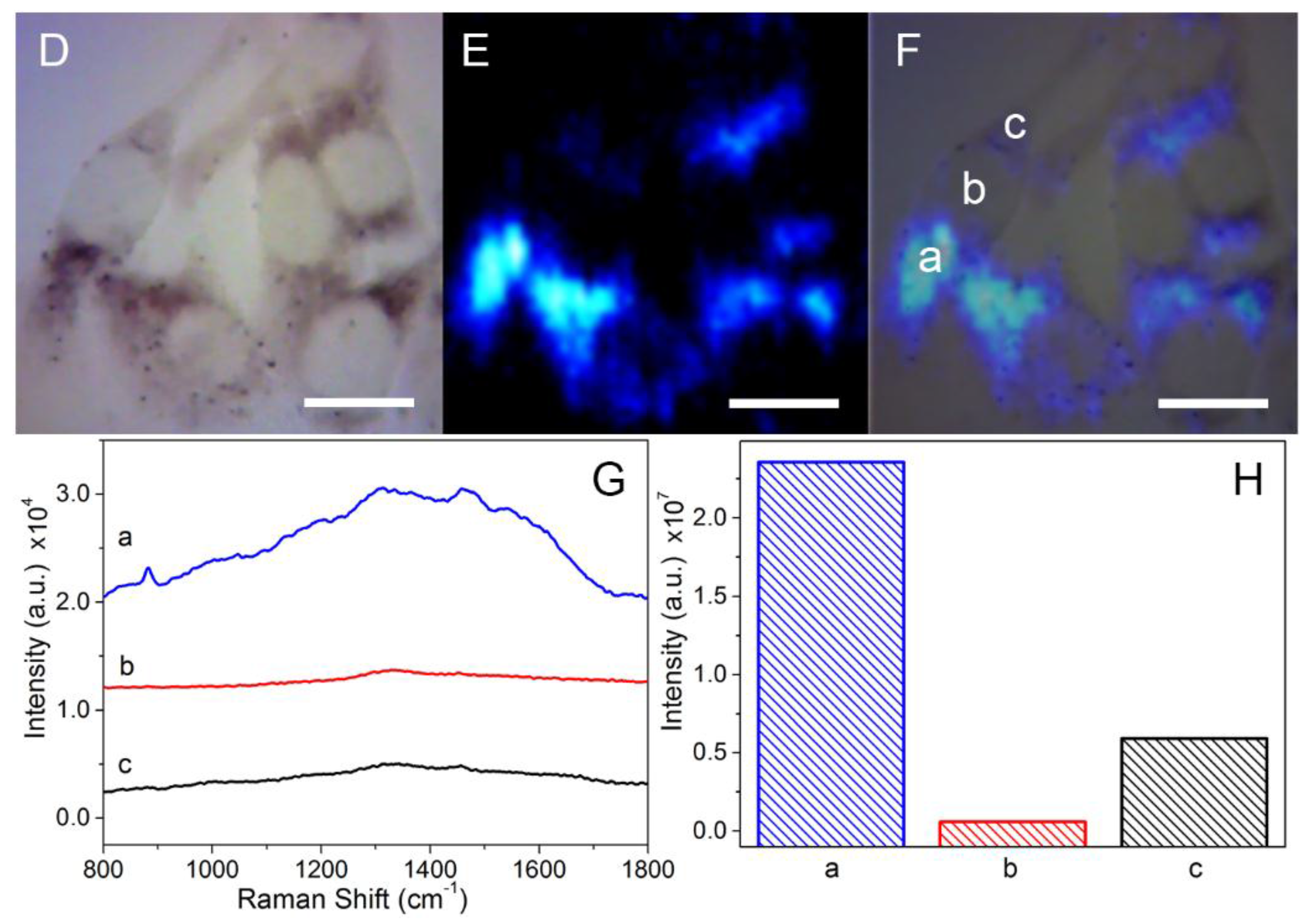 Nanomaterials 07 00070 g004b