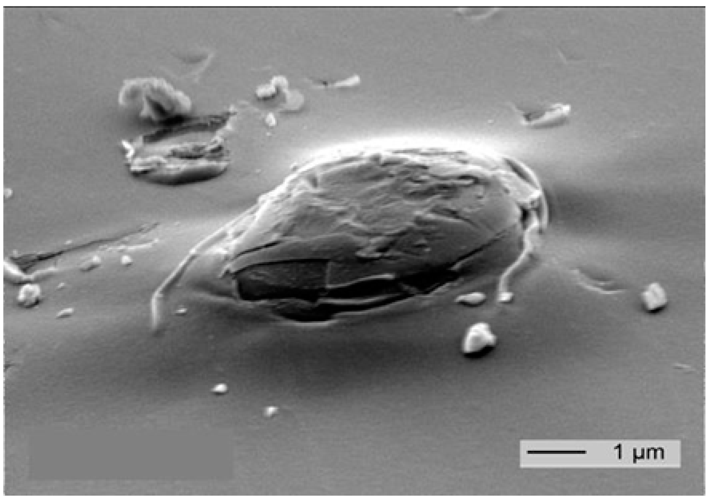 Nanomaterials 07 00074 g004 Nanomaterials 07 00074 g004
