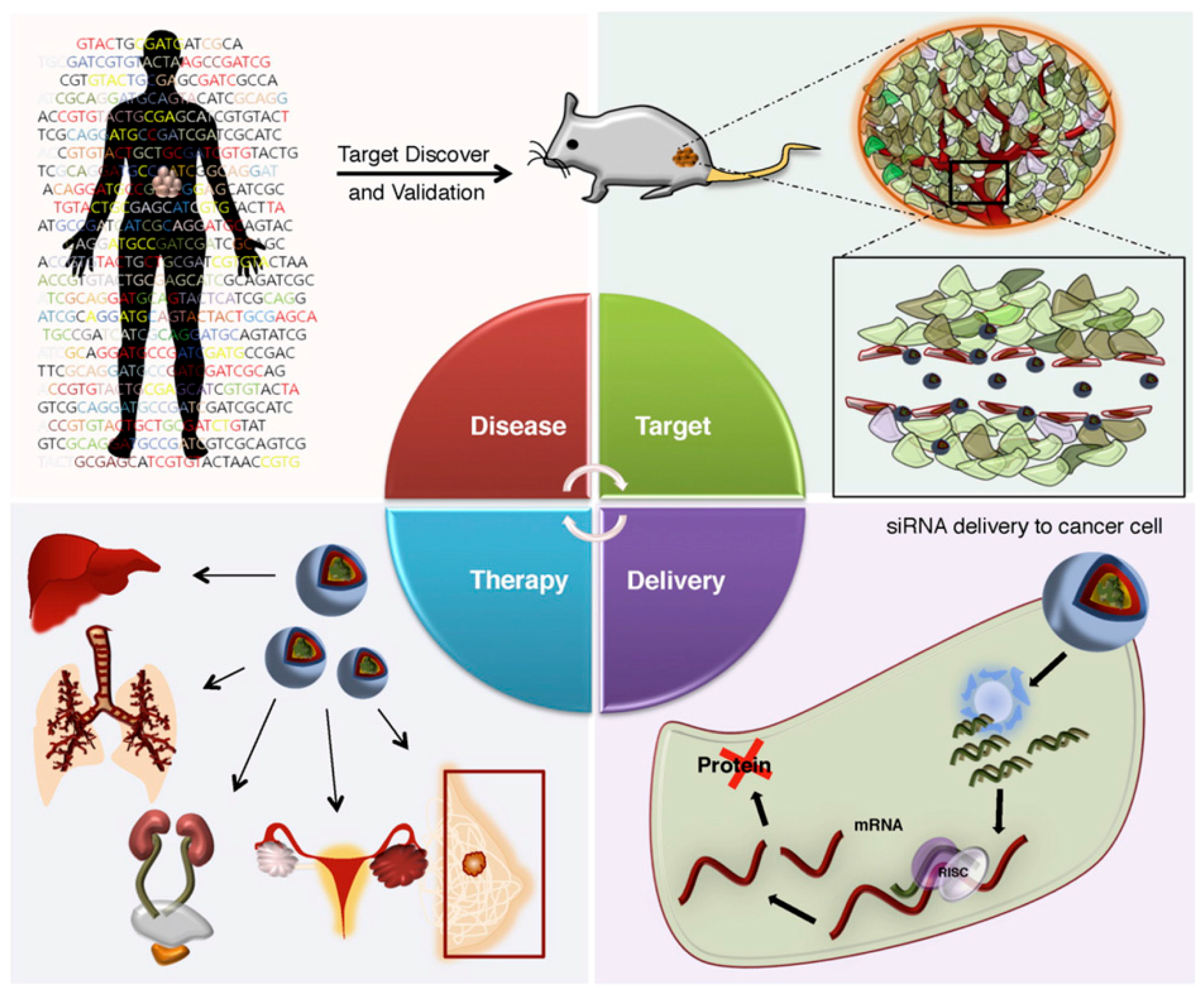 Nanomaterials 07 00077 g002