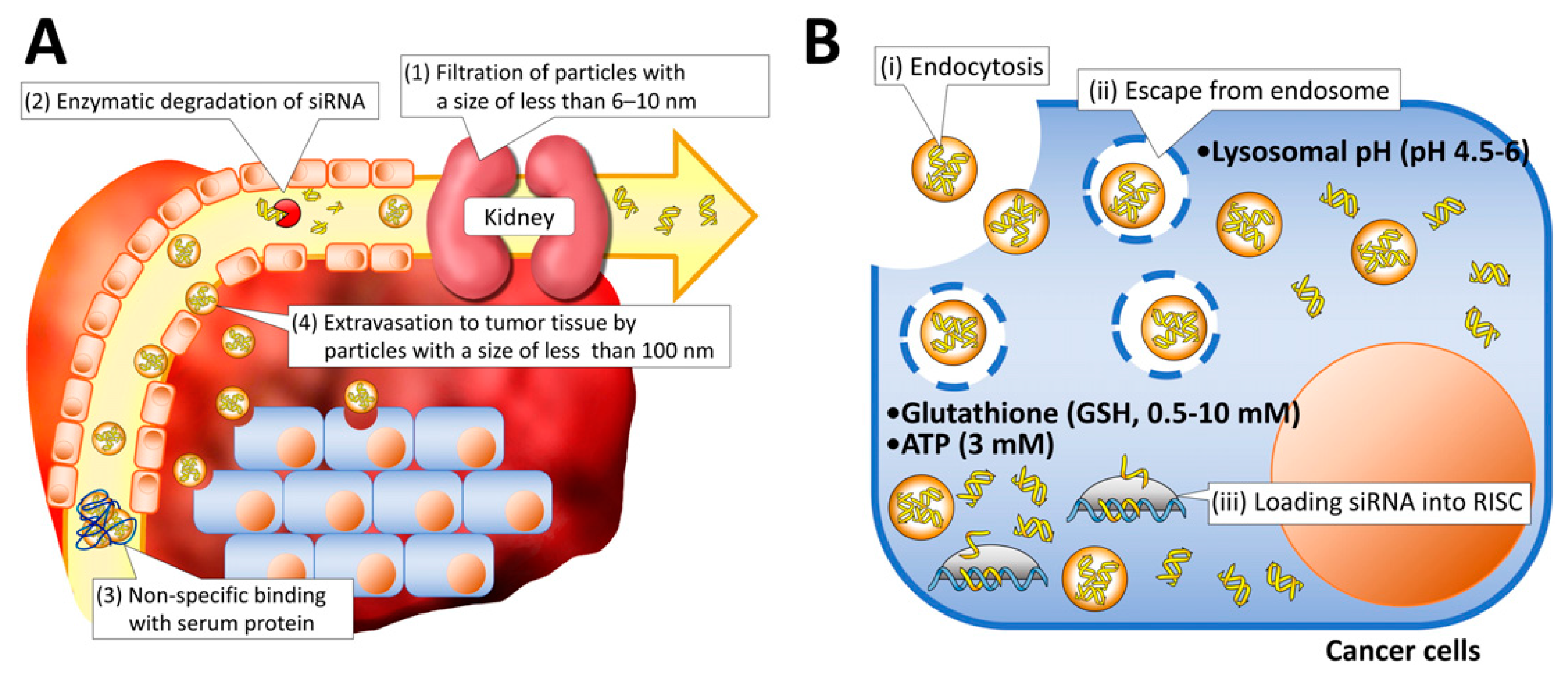 Nanomaterials 07 00077 g003