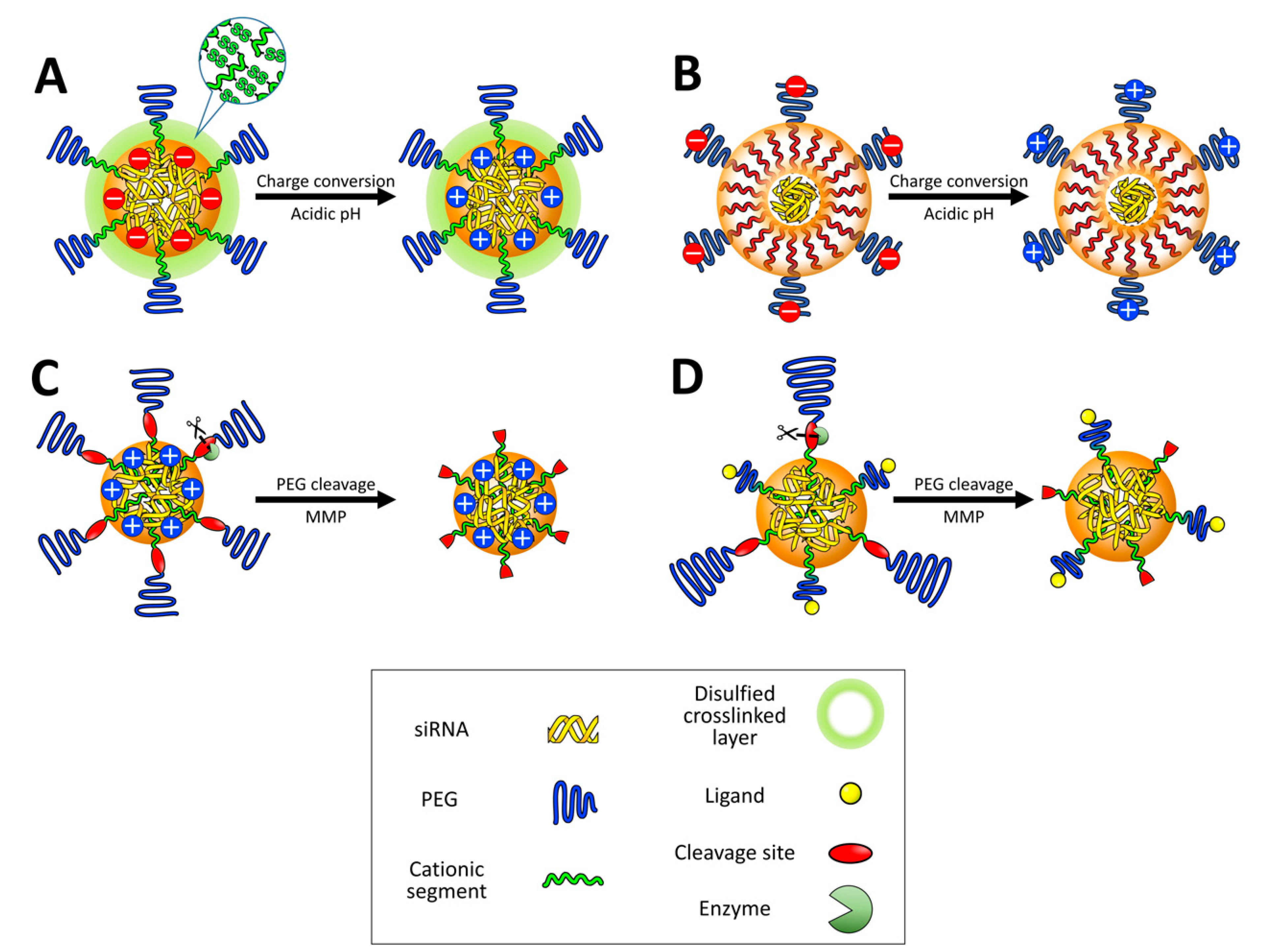 Nanomaterials 07 00077 g007