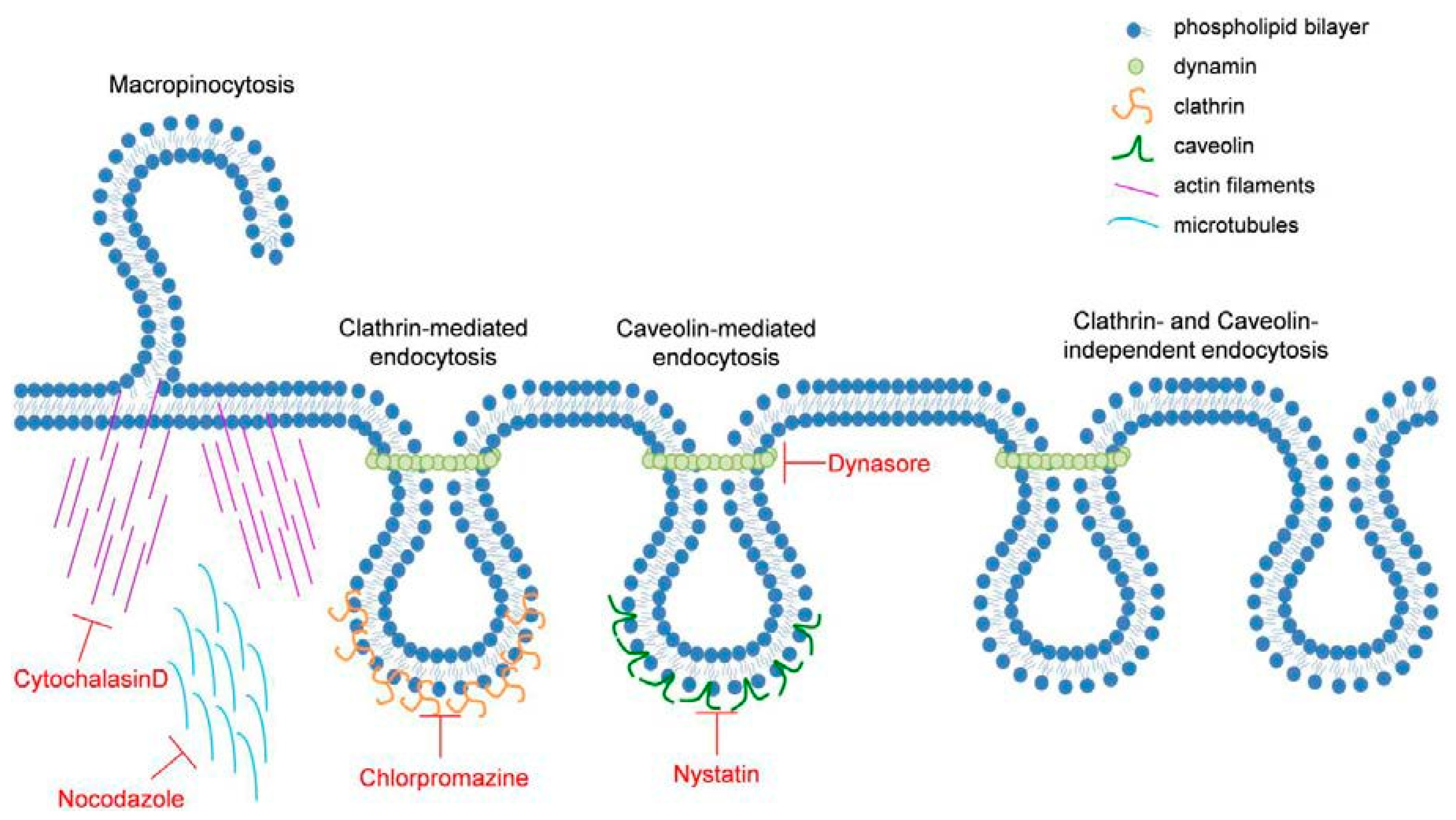 Nanomaterials 07 00079 g001